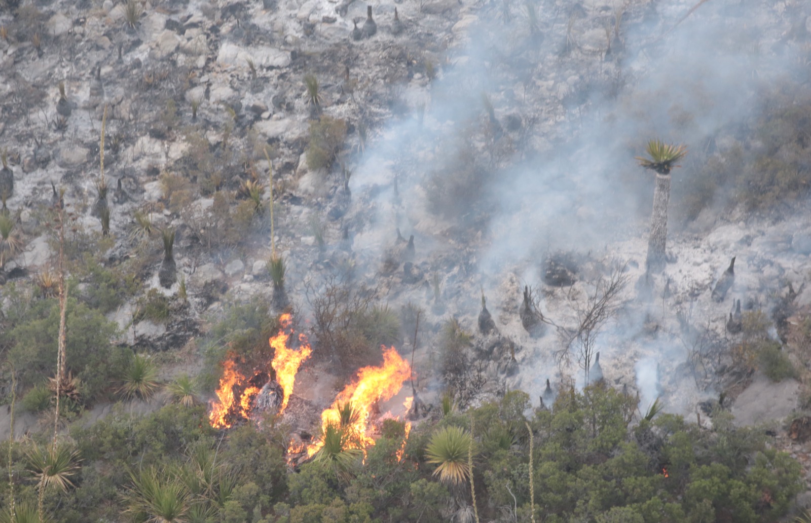 AVANZAN TRABAJOS DE CONTROL Y LIQUIDACIÓN DEL INCENDIO EN JAGÜEY DE FERNIZA