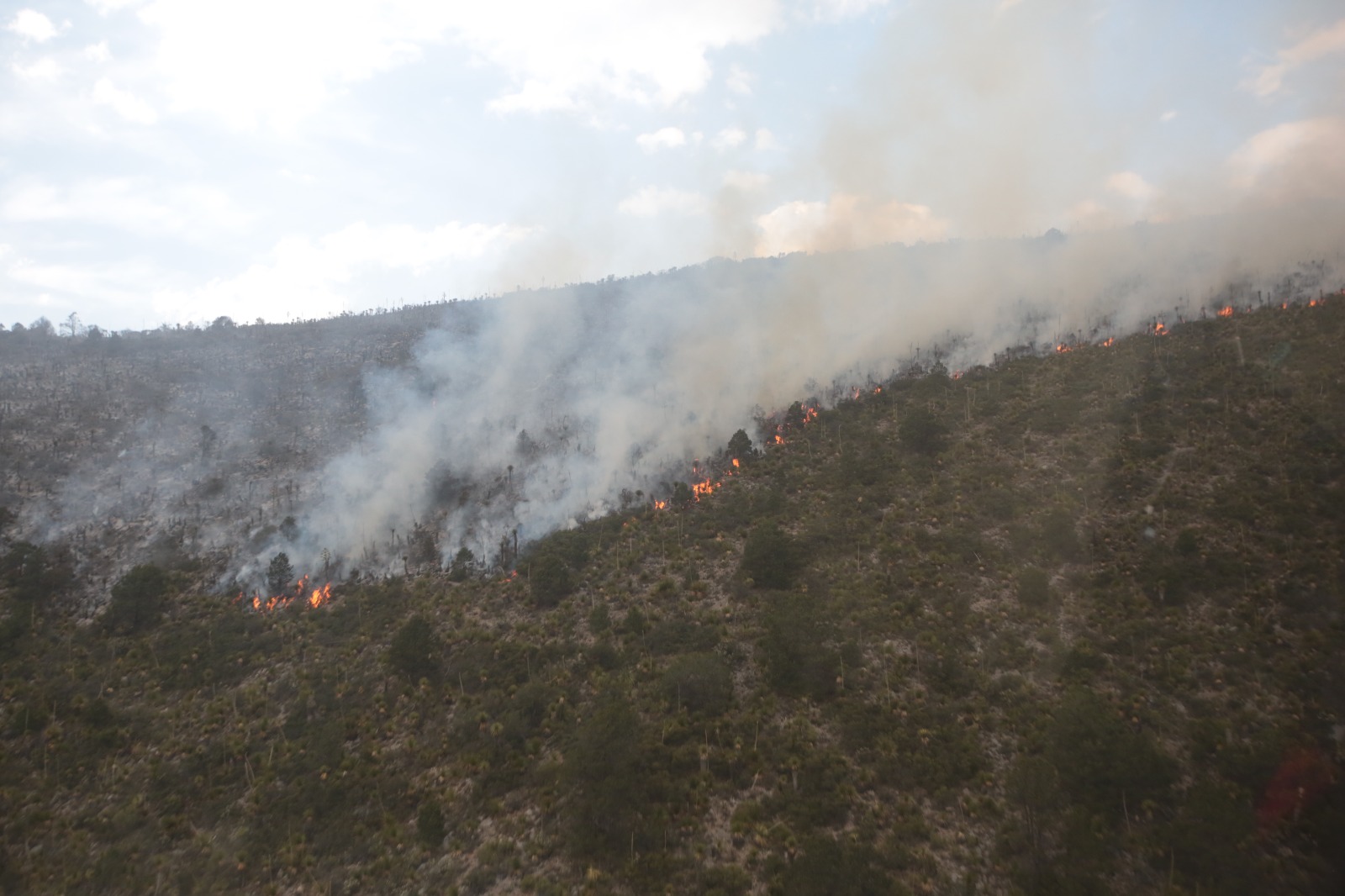 AVANZAN TRABAJOS DE CONTROL Y LIQUIDACIÓN DEL INCENDIO EN JAGÜEY DE FERNIZA