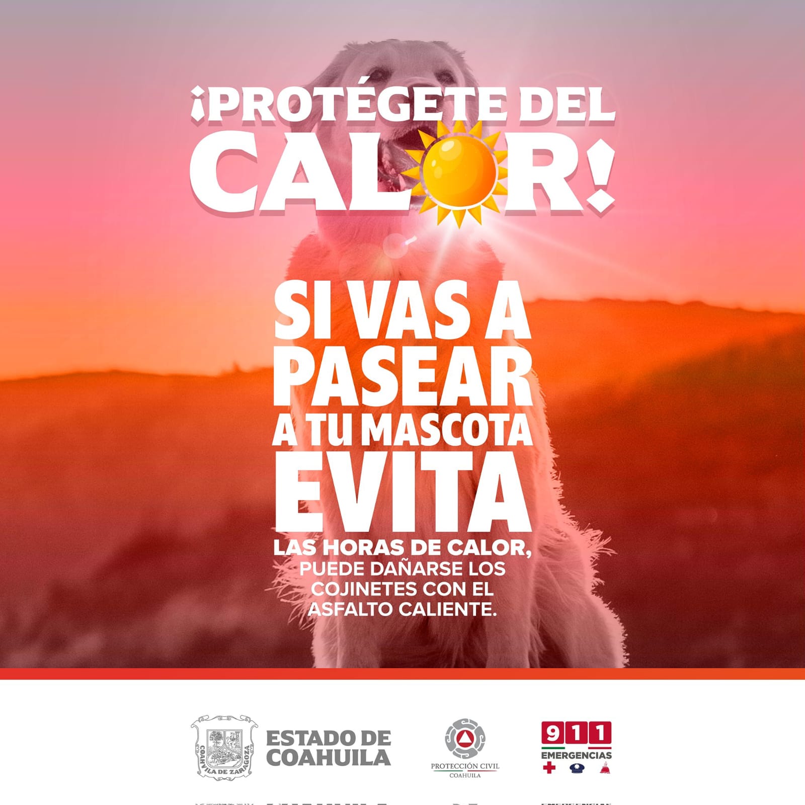 CONTINÚA LA TERCERA ONDA DE CALOR: TOME PRECAUCIONES