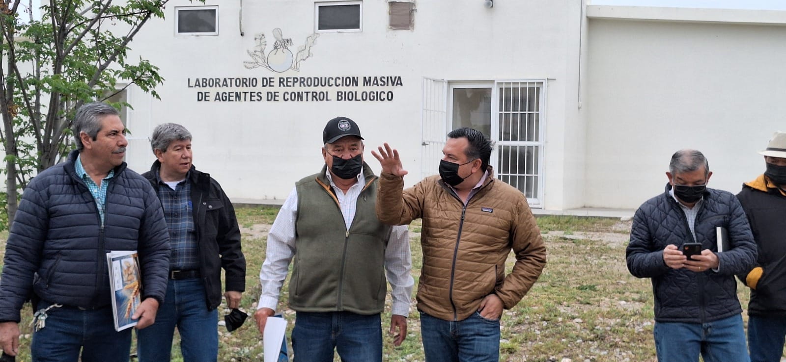 Coahuila avanza en el combate de plagas en cultivos de maíz, trigo, nueces e higo