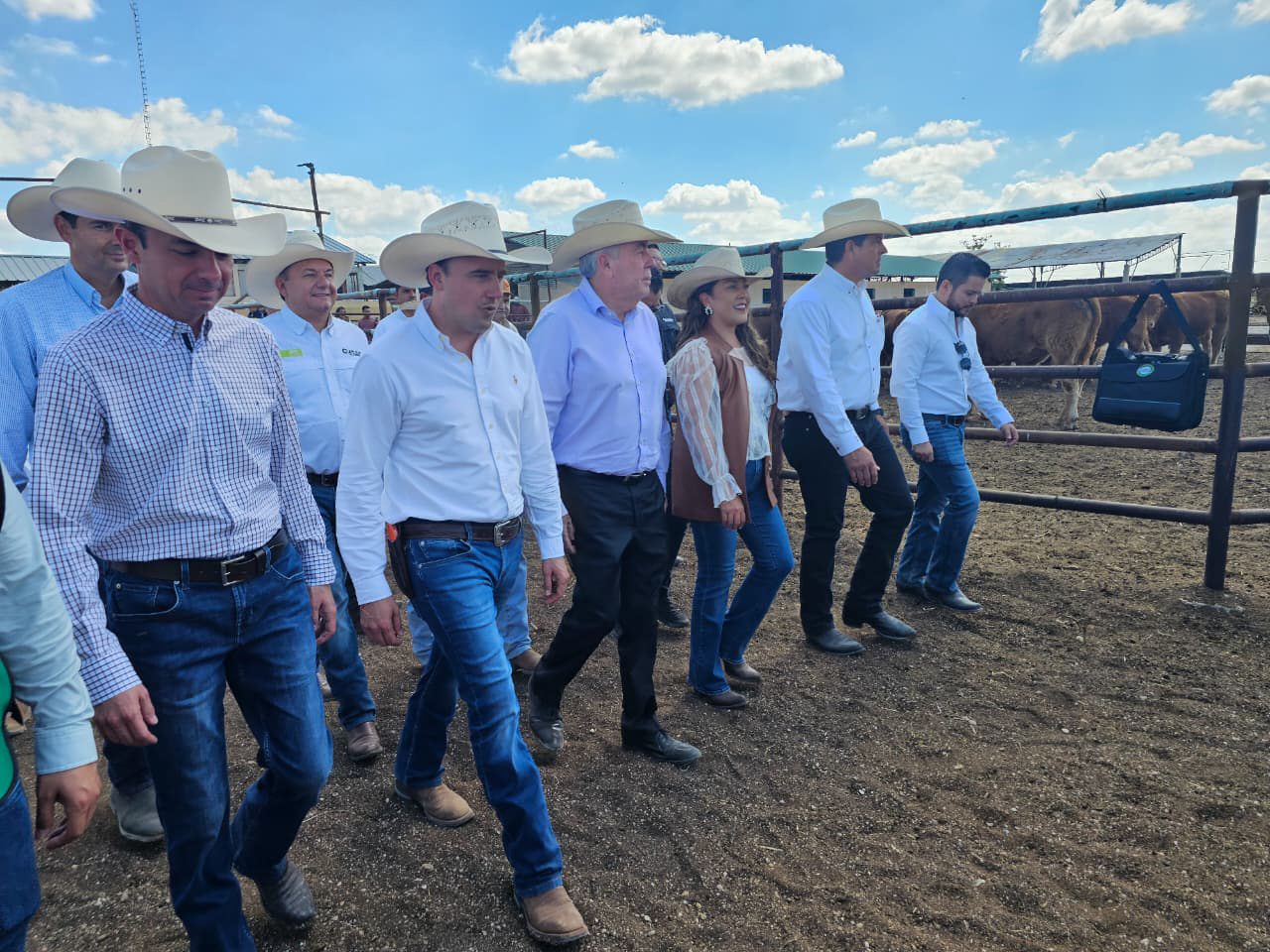 AGRICULTURA y Coahuila realizan primera entrega de sementales en arranque del Programa Integral de Producción de Carne