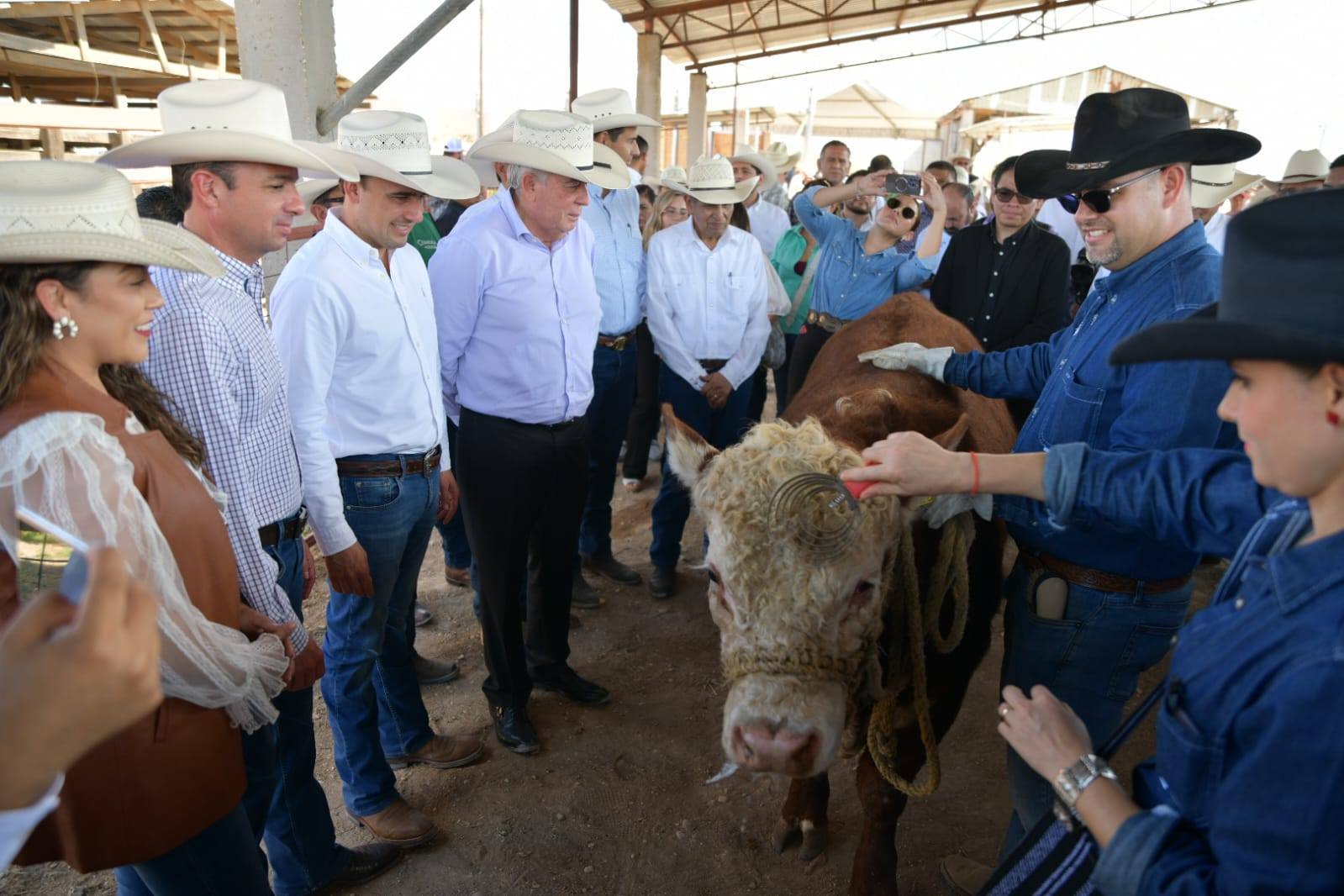 ARRANCA EN ACUÑA EL PROGRAMA DE APOYO A GANADEROS “MEJORAMIENTO GENÉTICO COAHUILA 2025”
