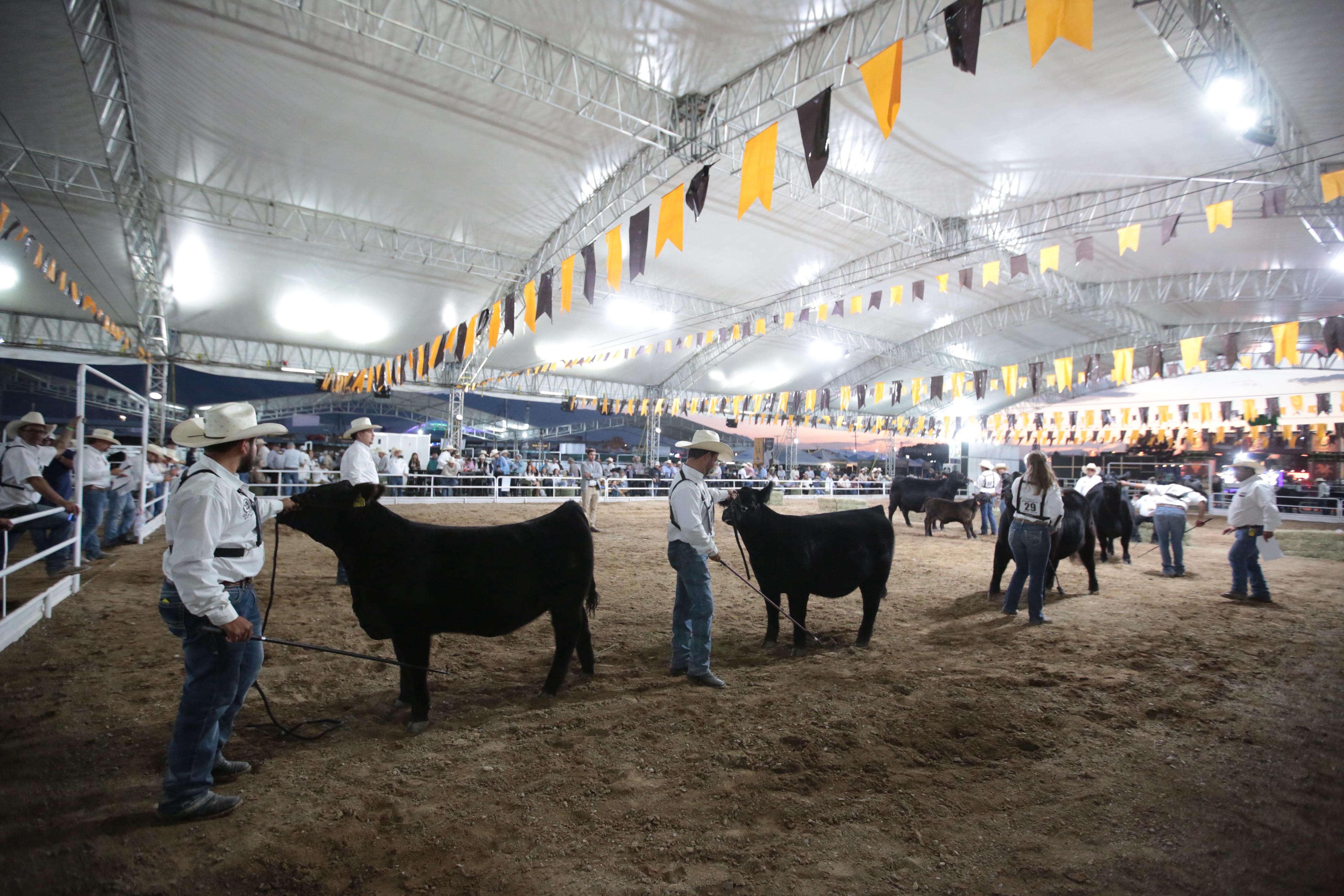 ESPECTACULAR INICIO DEL RODEO SALTILLO 2025