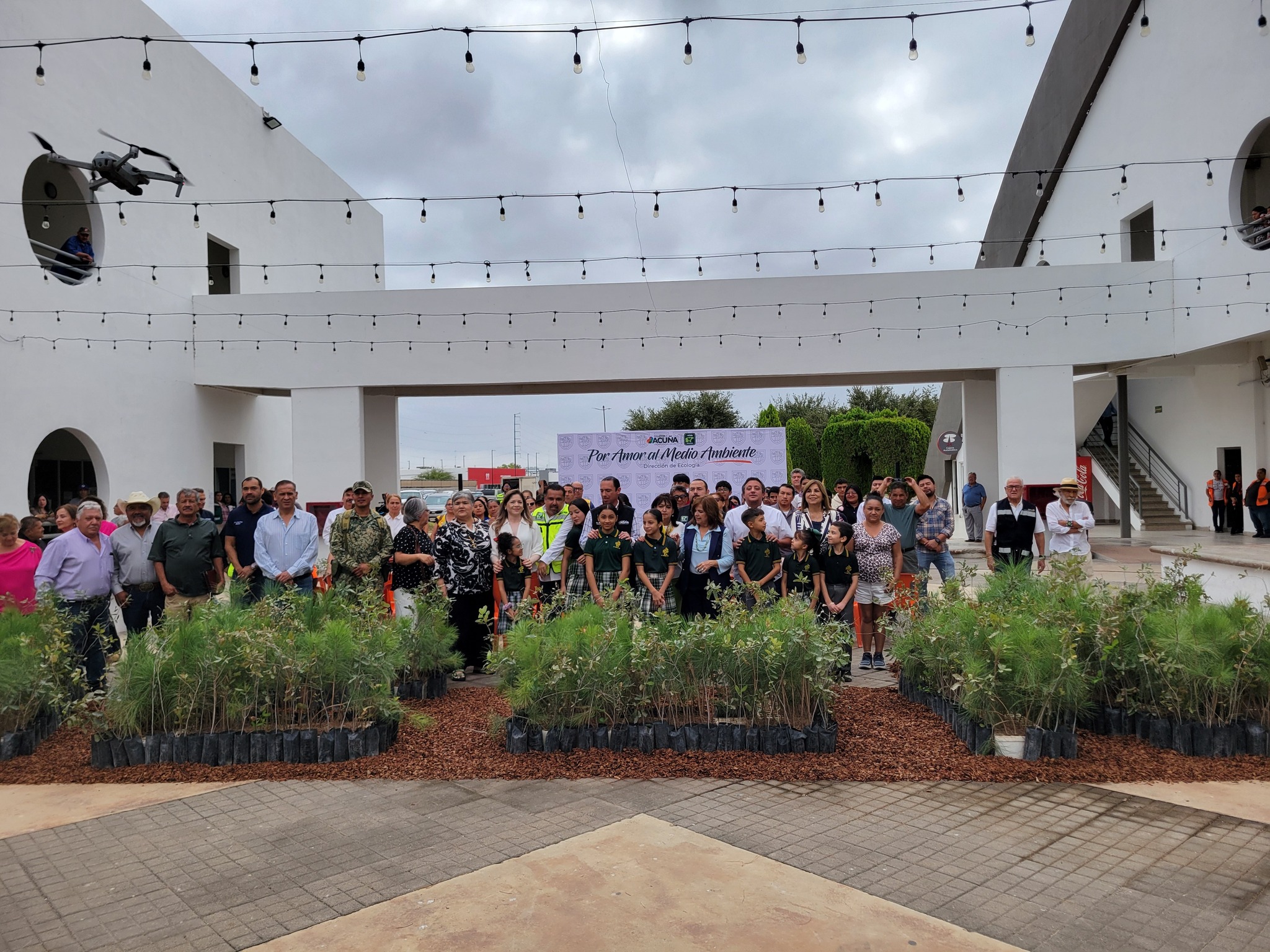 3 mil árboles en el 3er programa de reforestación