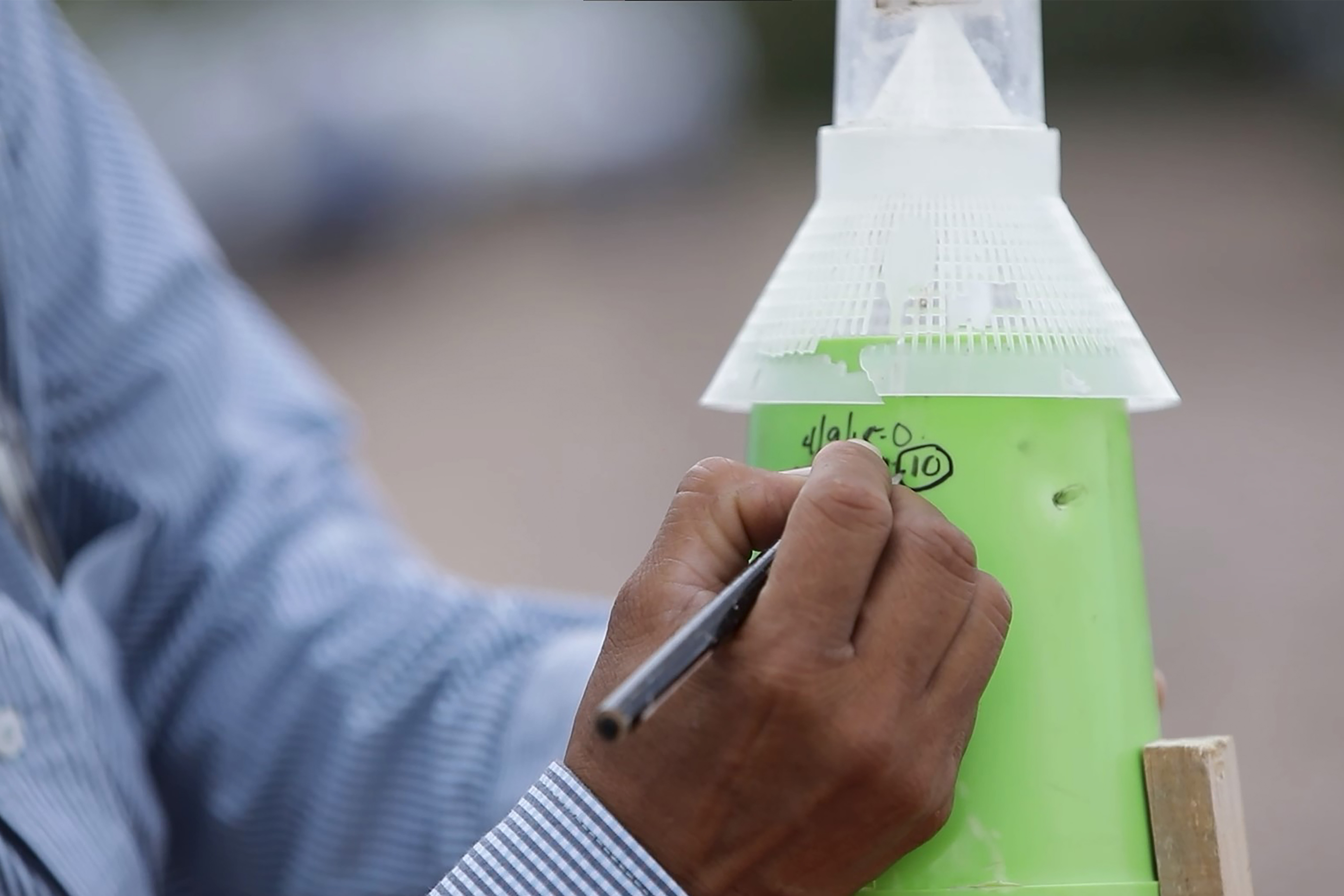 Destaca Agricultura resultados positivos del Programa Binacional contra plagas del algodonero