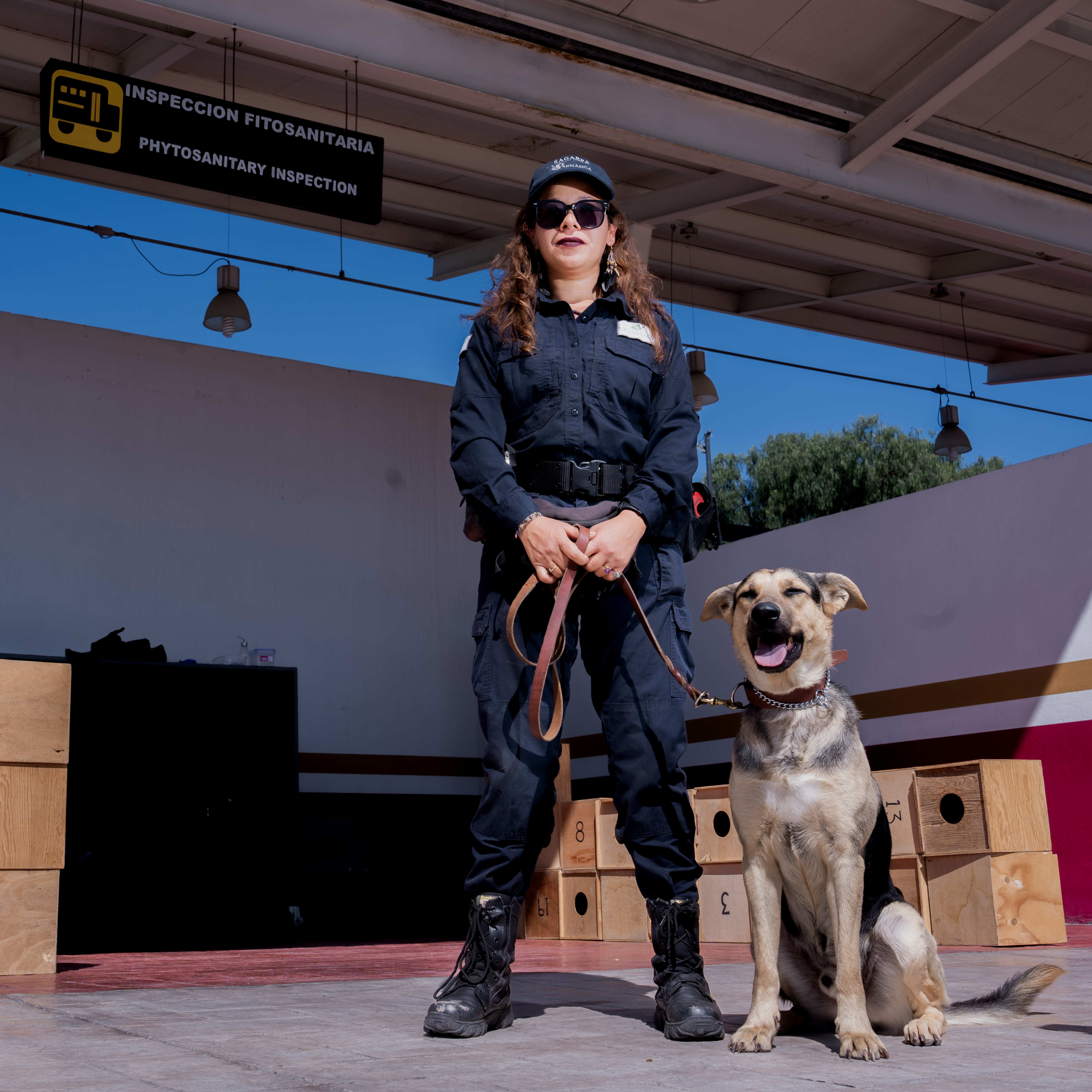 En vacaciones de invierno, AGRICULTURA fortalece controles en puertos, aeropuertos y fronteras, para proteger la sanidad agroalimentaria