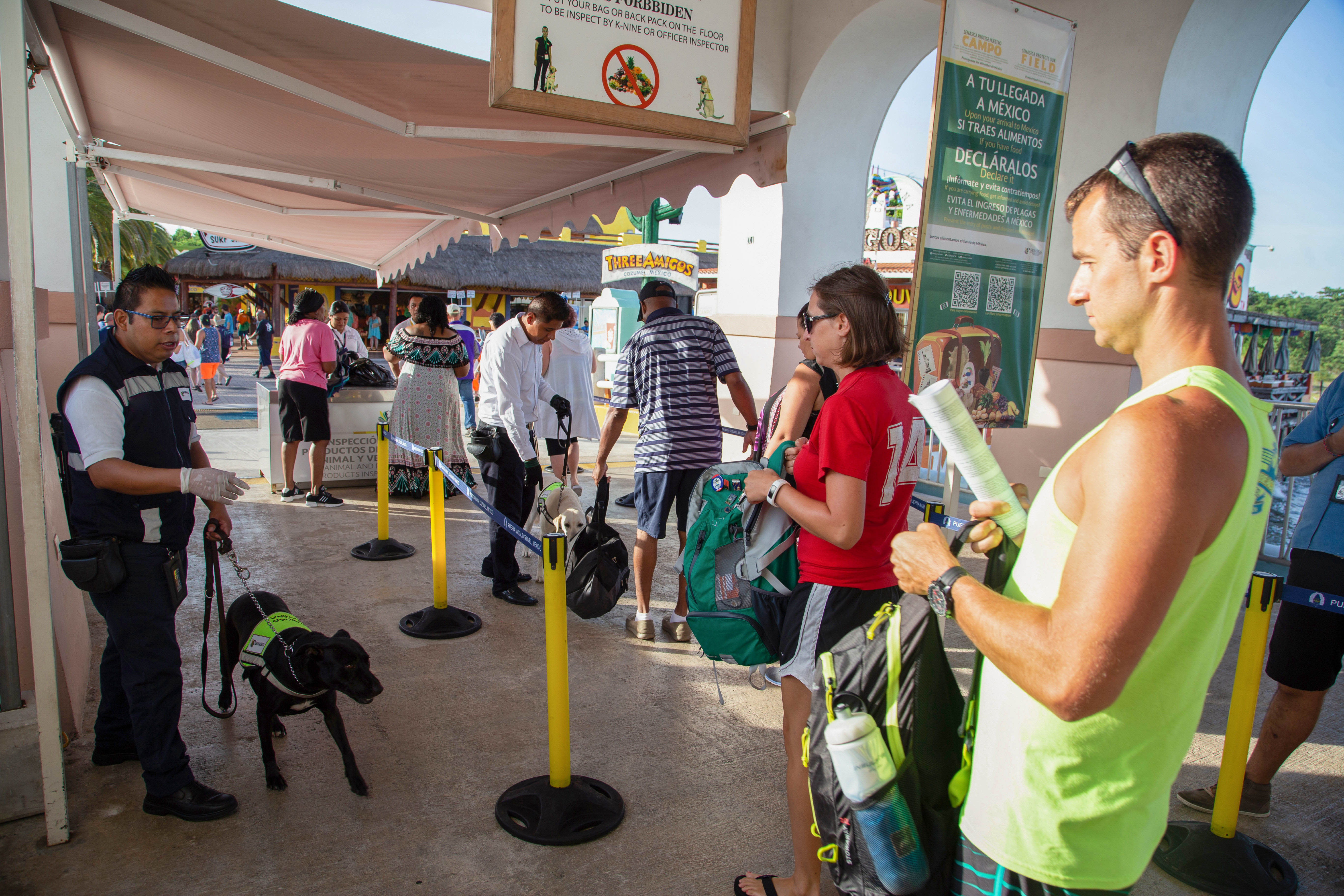 En vacaciones de invierno, AGRICULTURA fortalece controles en puertos, aeropuertos y fronteras, para proteger la sanidad agroalimentaria