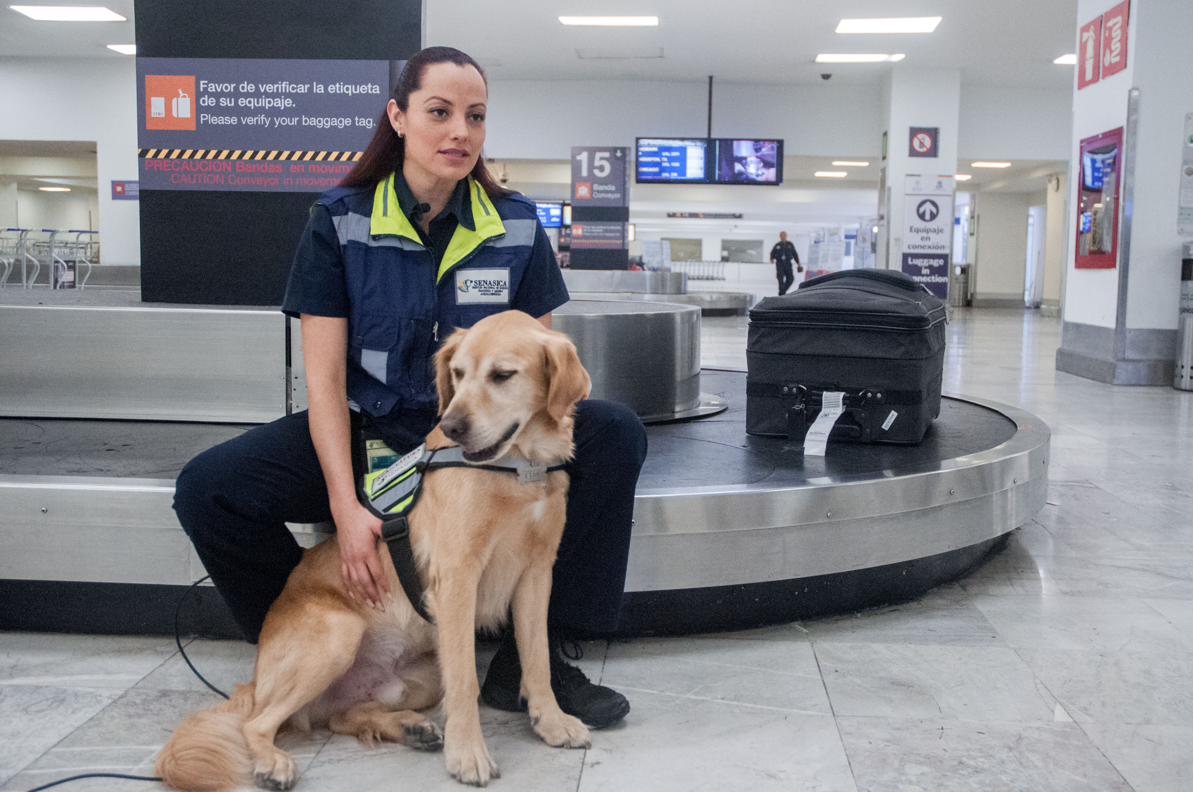En vacaciones de invierno, AGRICULTURA fortalece controles en puertos, aeropuertos y fronteras, para proteger la sanidad agroalimentaria