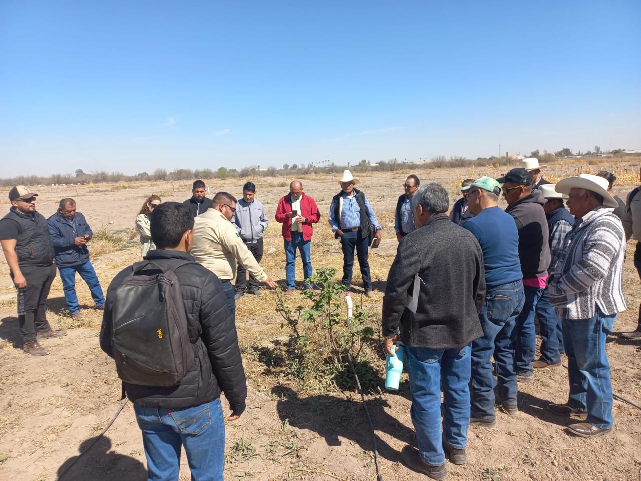 LA SECRETARÍA DE DESARROLLO RURAL IMPULSA LA CAPACITACIÓN Y ASISTENCIA TÉCNICA PARA EL CULTIVO DEL HIGO