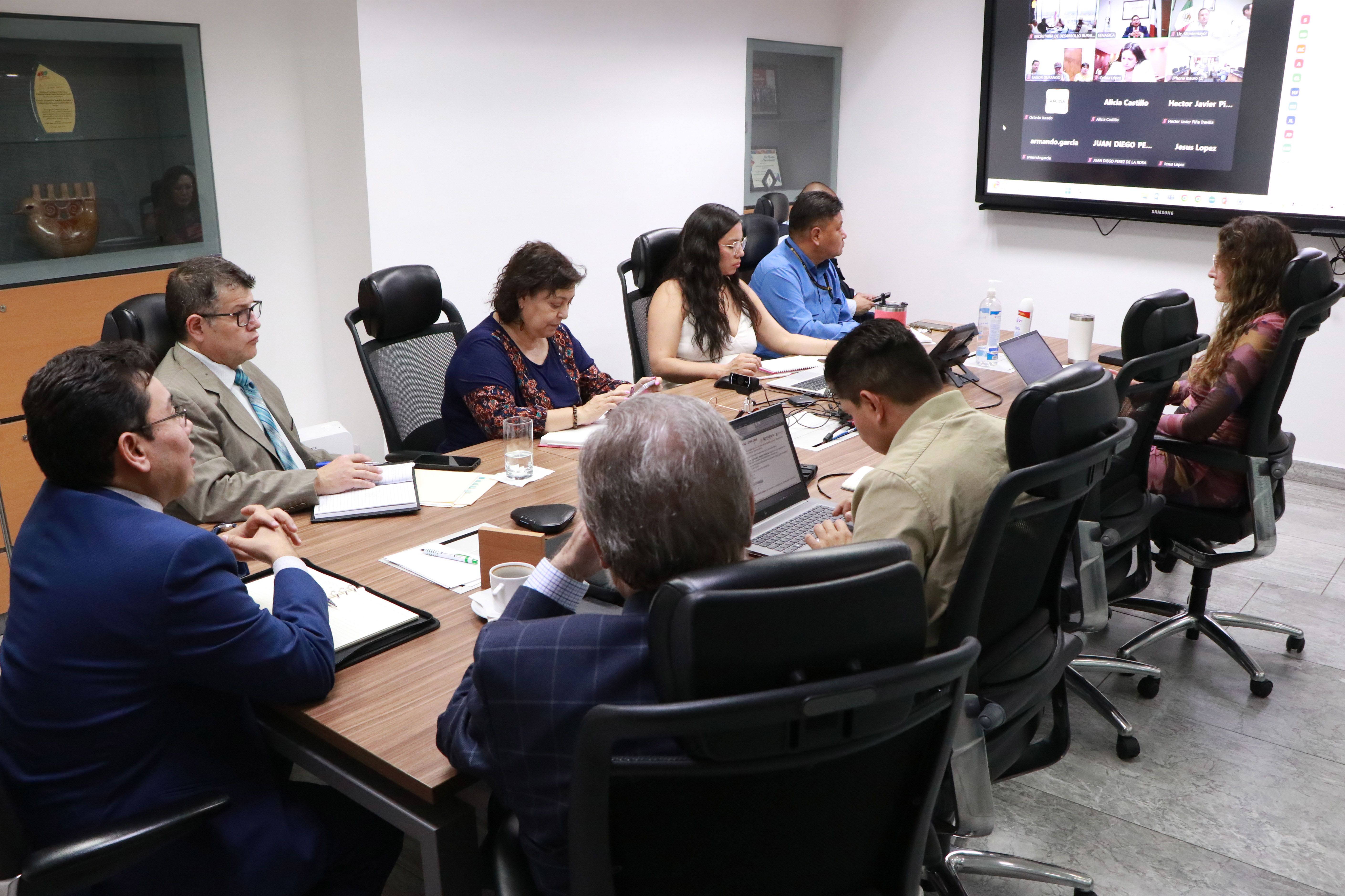 Refuerzan AGRICULTURA y cinco estados medidas para prevenir ingreso de gusano barrenador del ganado en el norte de México