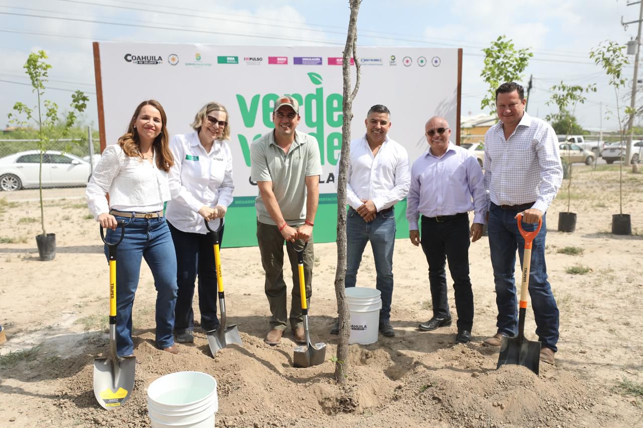 CON "VERDE VERDE COAHUILA" SEMBRAMOS 20 MIL ÁRBOLES EN LOS 38 MUNICIPIOS: MANOLO