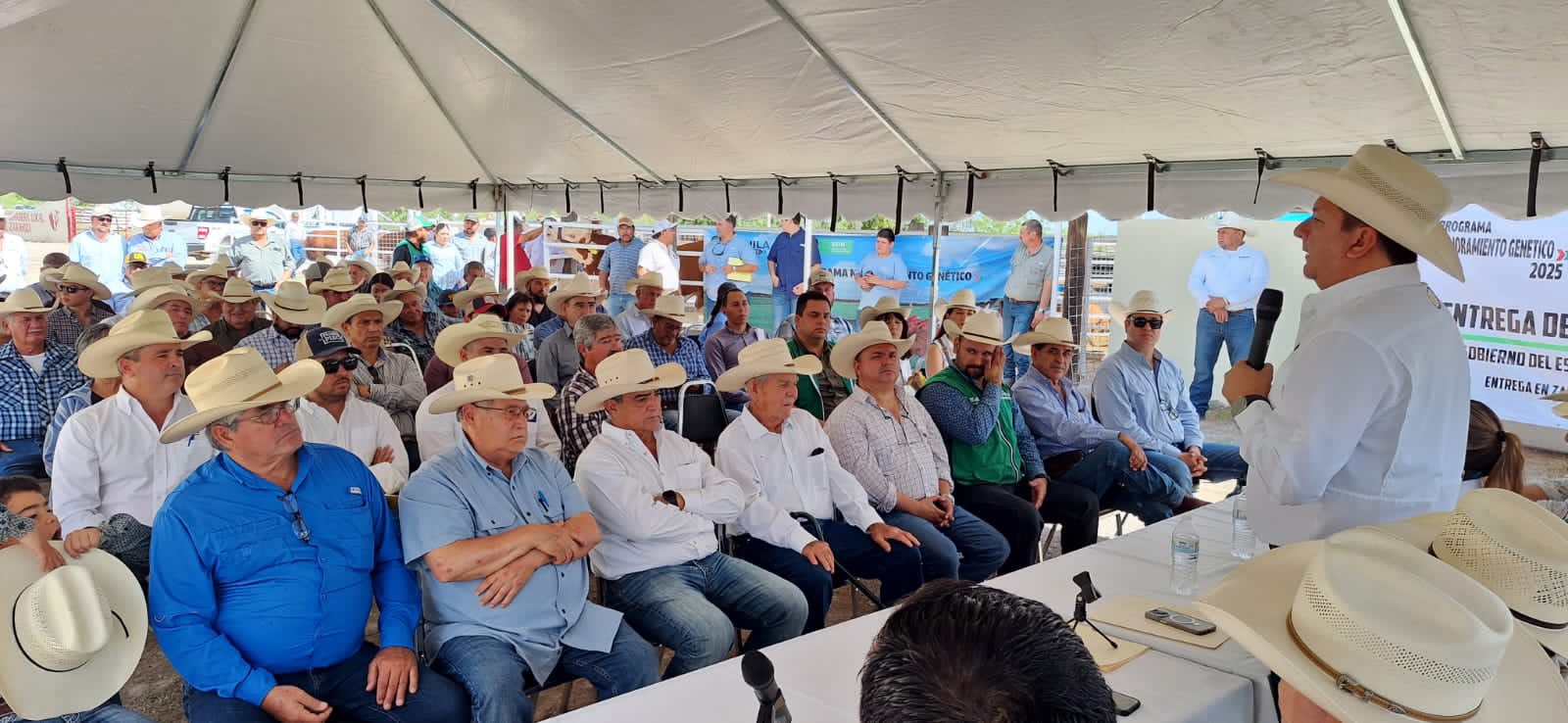 Entrega de sementales bovinos en Zaragoza fortalece al sector ganadero