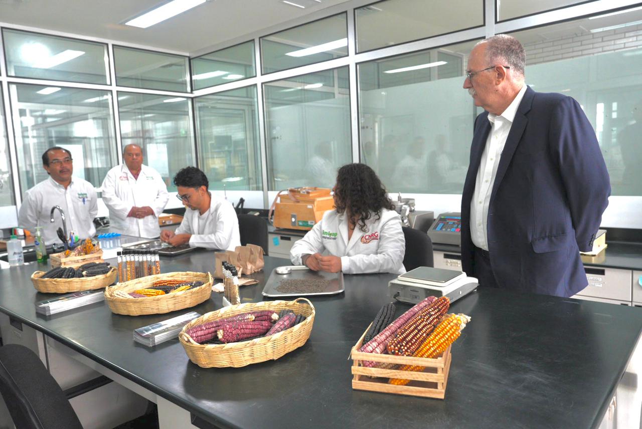 México mantiene autosuficiencia en carne de res gracias al esfuerzo de las y los ganaderos: AGRICULTURA