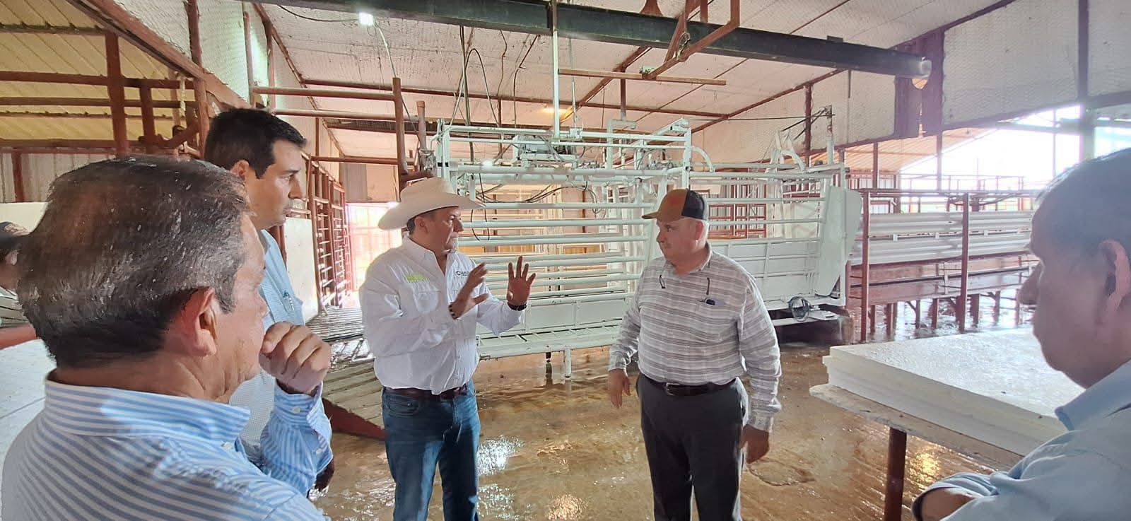 Avanza 90% el puerto cuarentenario de Acuña para exportación de ganado a EE.UU.