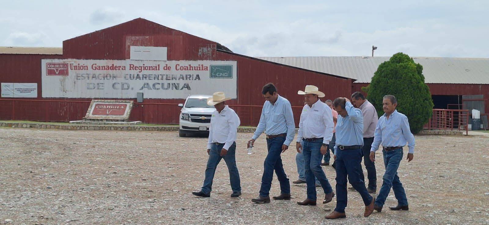 Avanza 90% el puerto cuarentenario de Acuña para exportación de ganado a EE.UU.