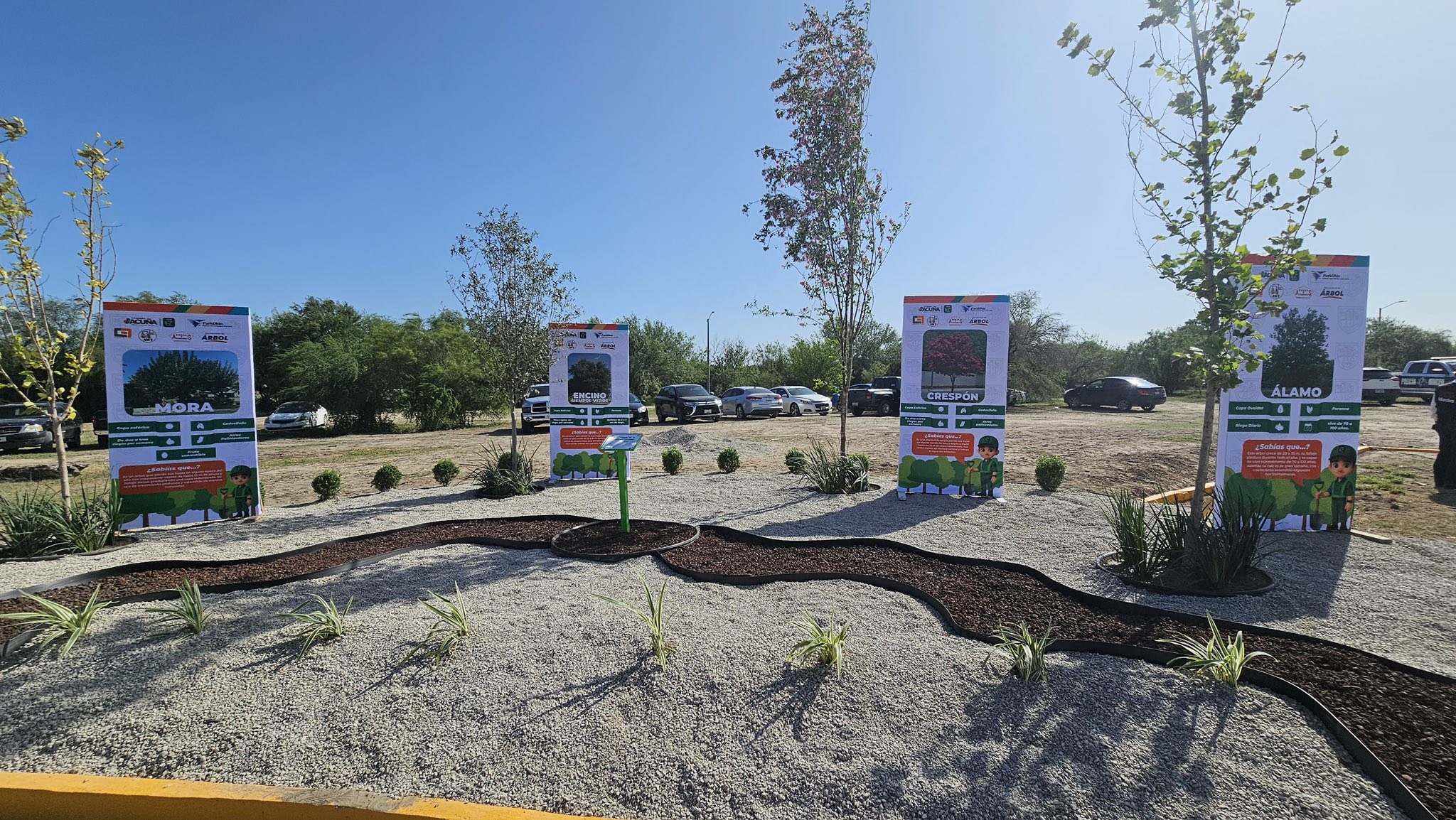 CELEBRAN EL DÍA NACIONAL DEL ÁRBOL EN ACUÑA