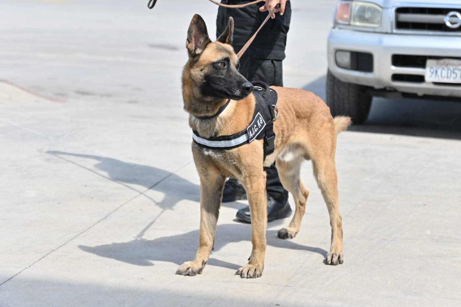 LLEGARON LOS BINOMIOS K9 A ACUÑA