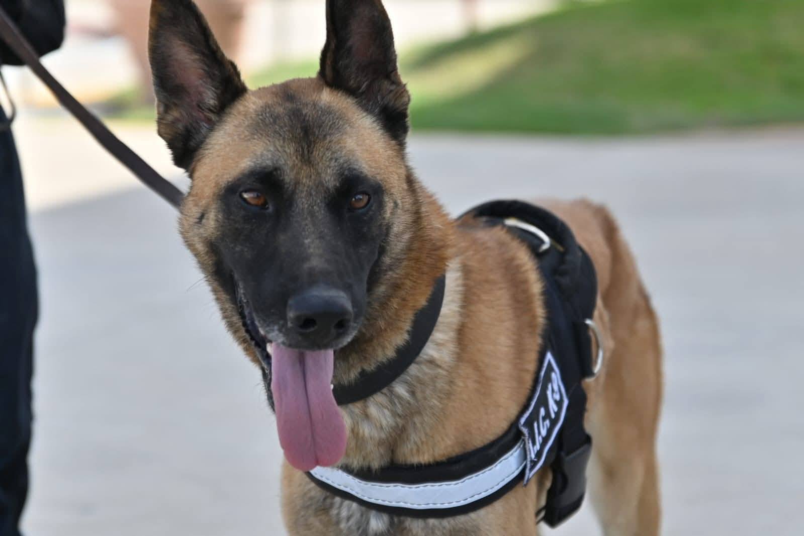 LLEGARON LOS BINOMIOS K9 A ACUÑA