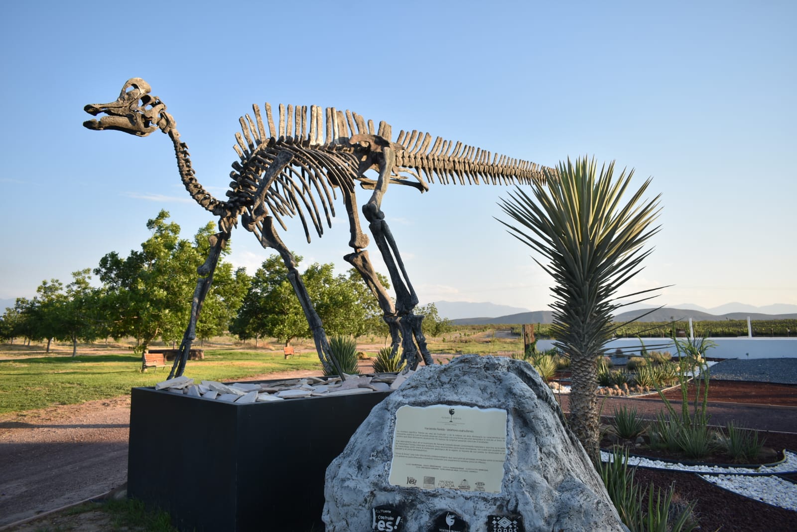 VIVE LA AVENTURA DEL MUNDO DE LOS DINOSAURIOS EN GENERAL CEPEDA