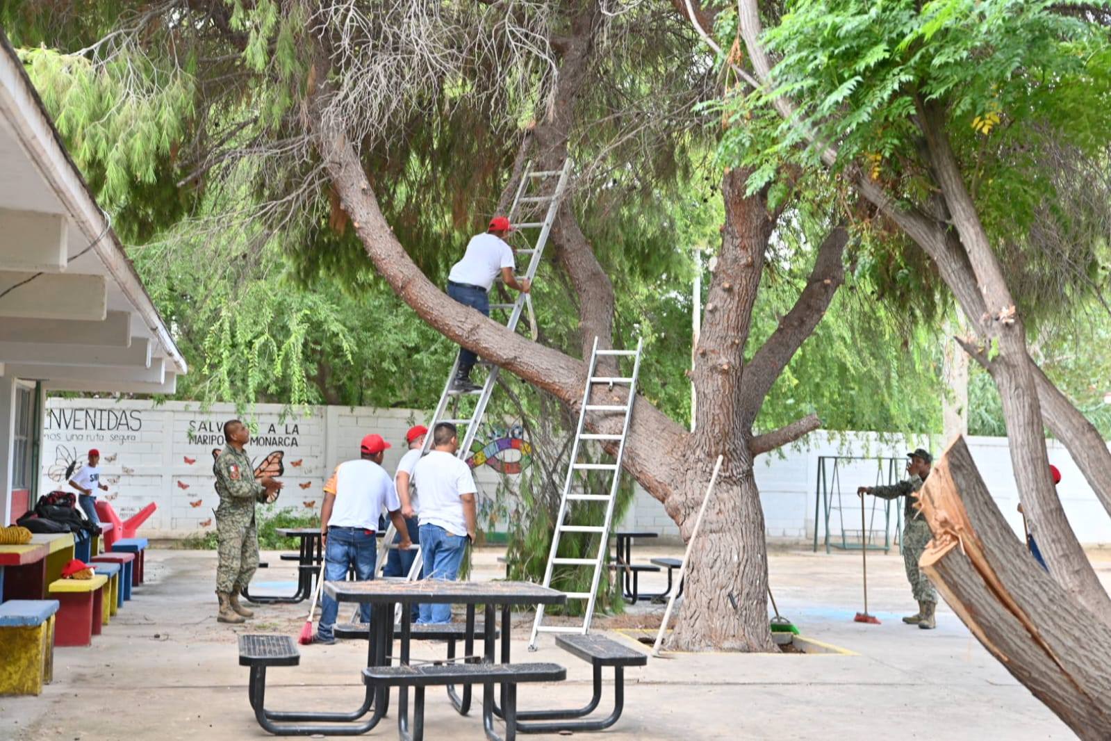 BRIGADA DE LIMPIEZA Y PODA EN EL CAM 21: JUNTOS POR UN ENTORNO SEGURO Y DIGNO