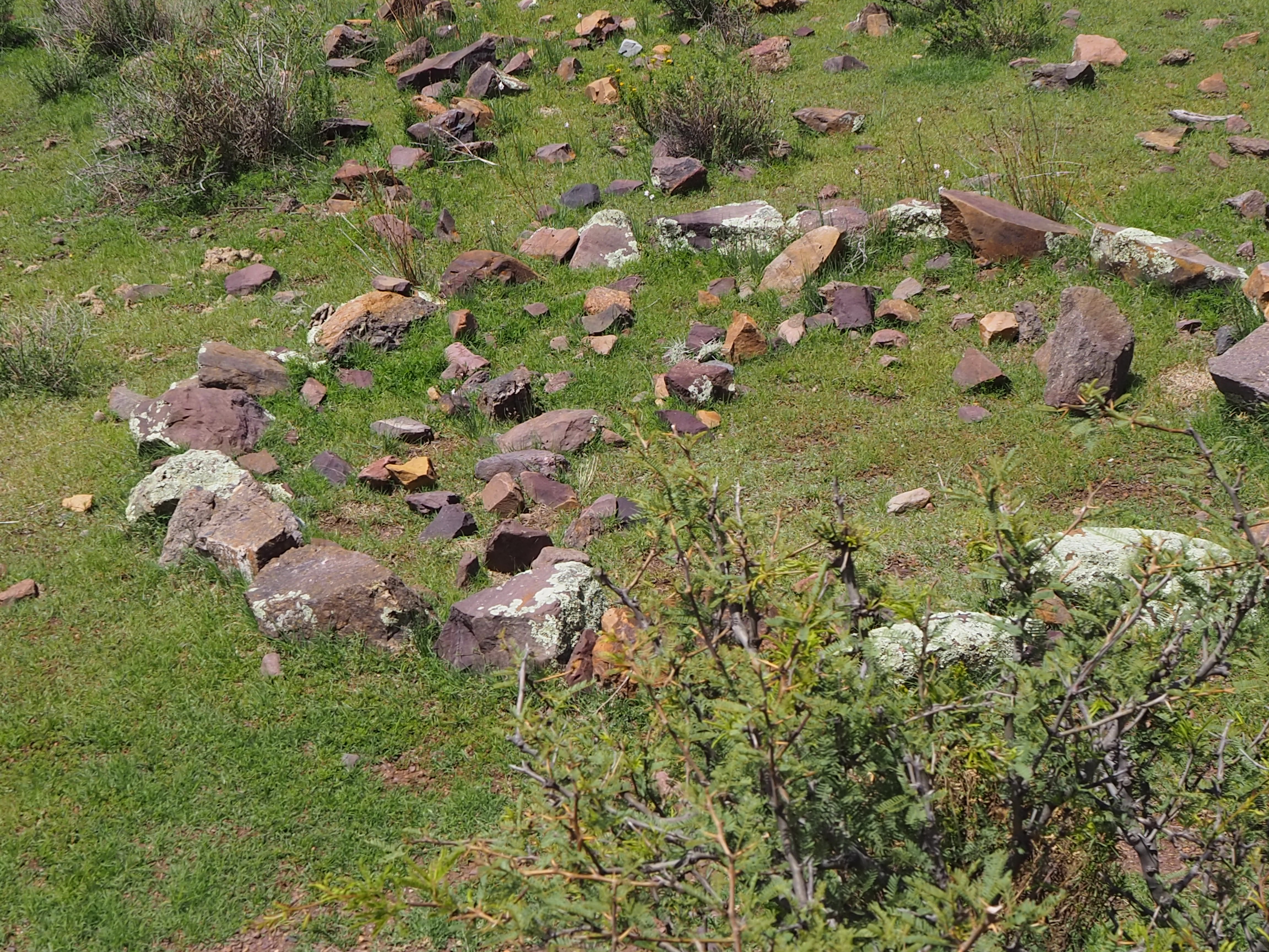 Detrás de los cerros estás tú…