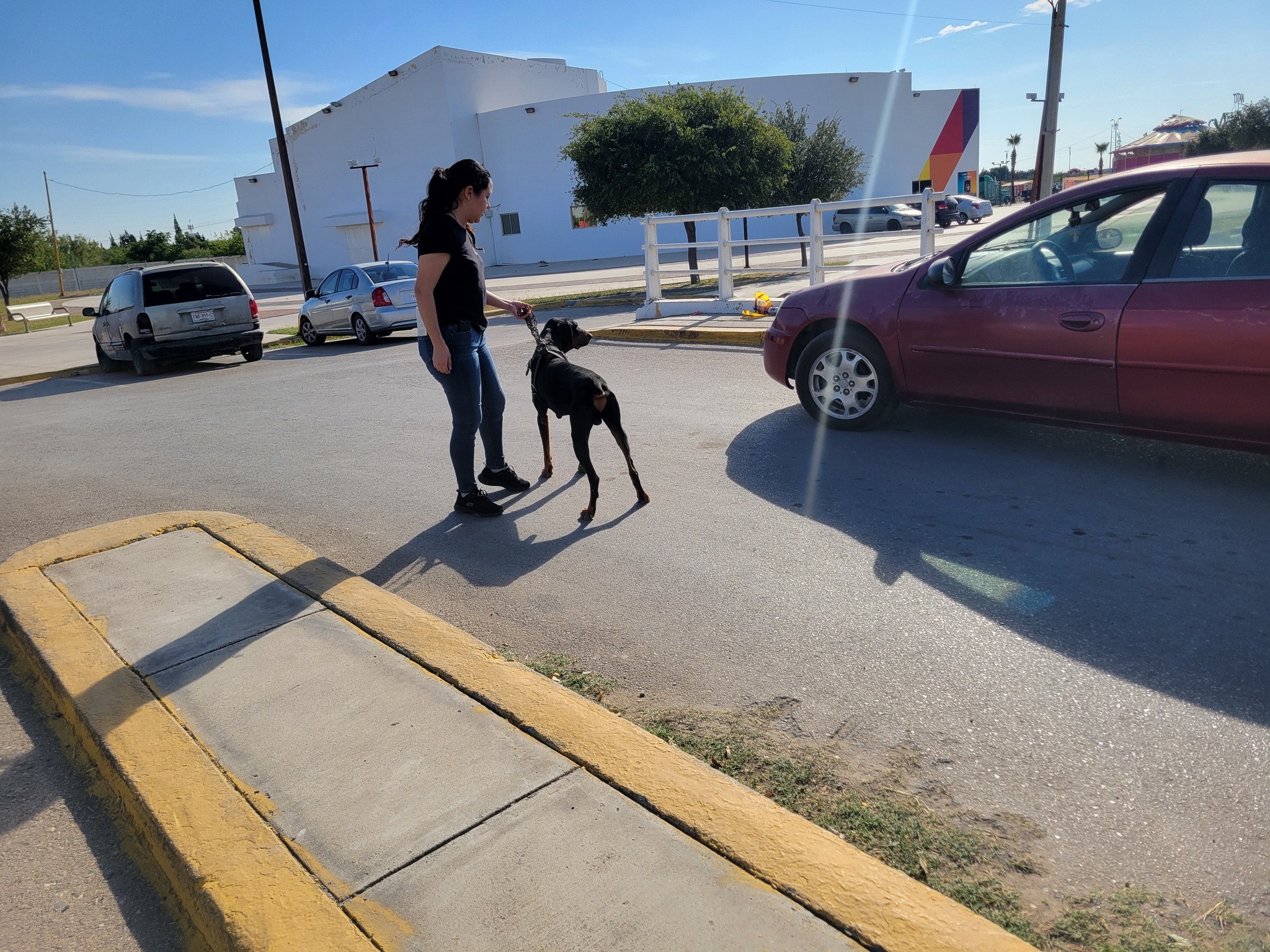 Realizan jornada de vacunación y desparasitación de perros y gatos