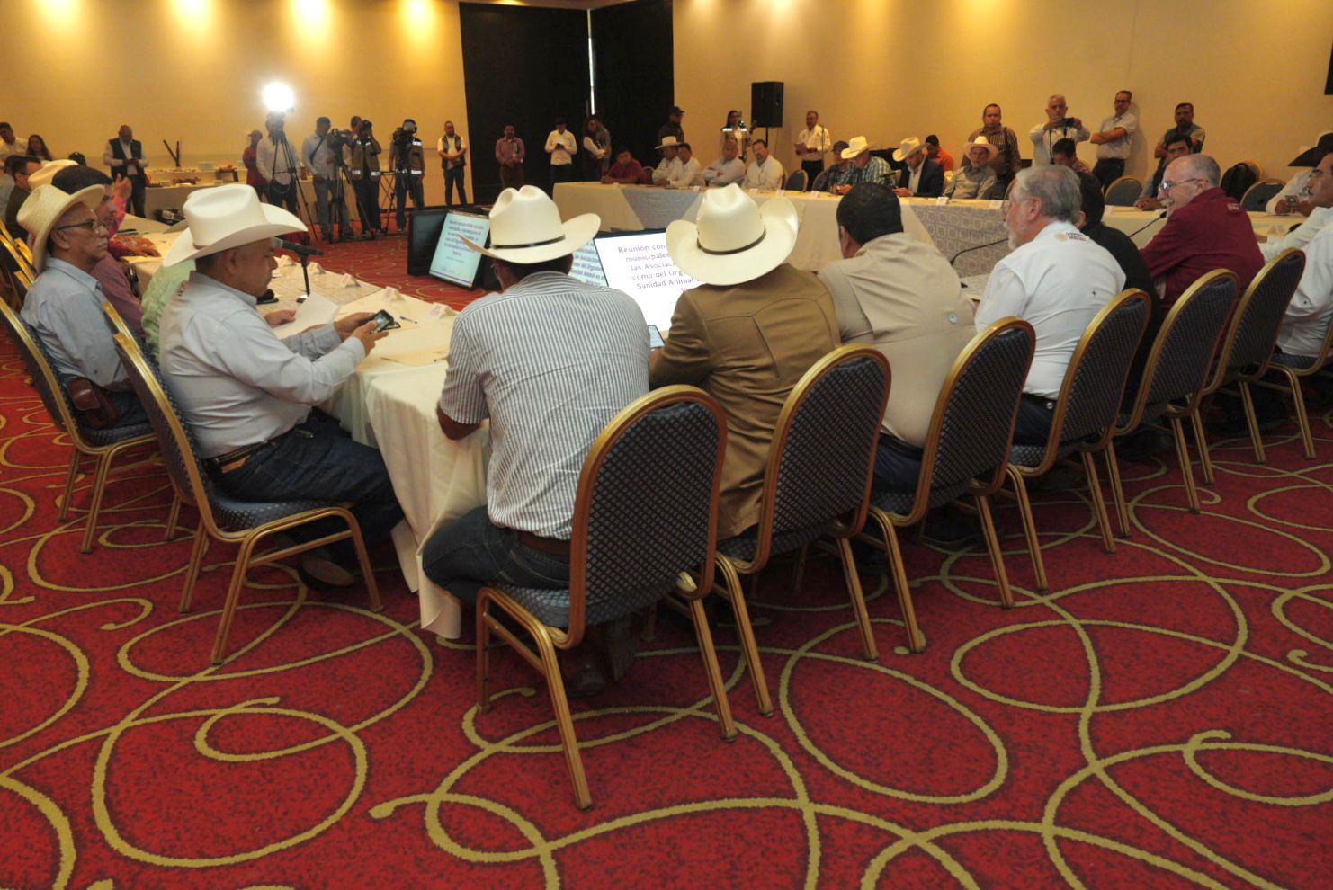 Acuerda AGRICULTURA nuevas acciones para blindar del gusano barrenador del ganado al centro y norte del país