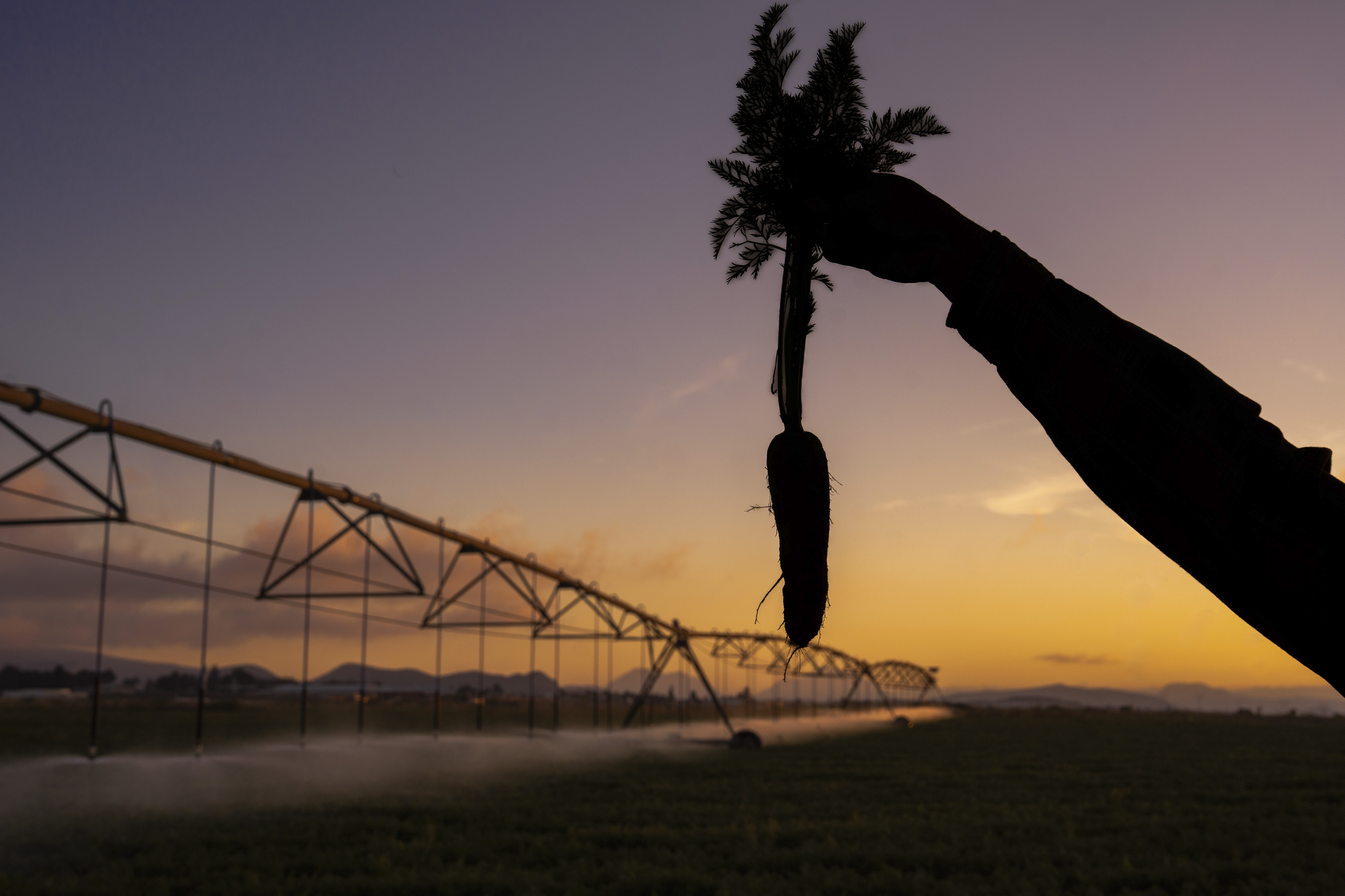AGRICULTURA, CFE y Conagua establecen acuerdo para integrar un Padrón General Actualizado de Usuarios Agrícolas