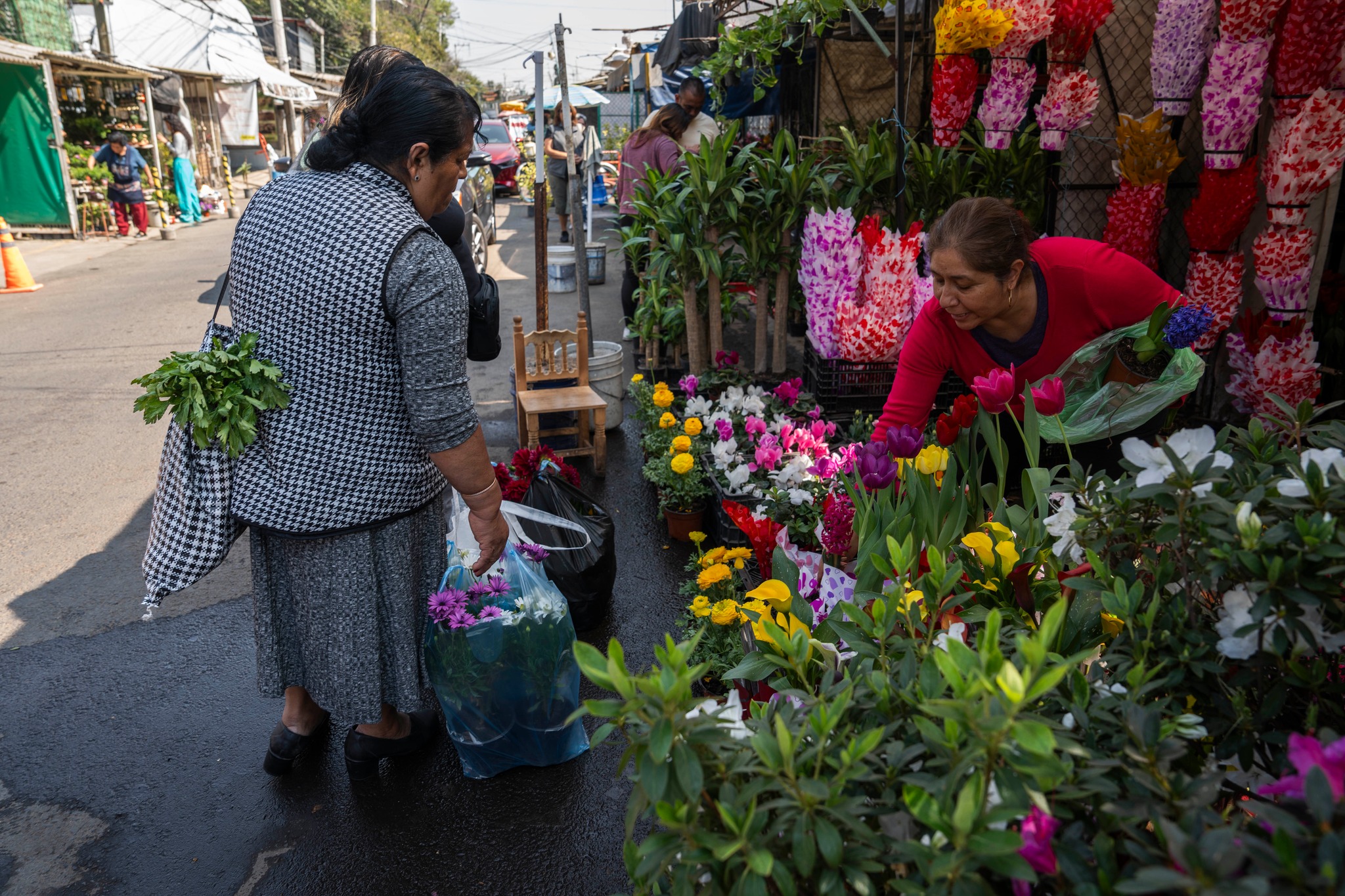 Campo mexicano, listo para la festividad del 14 de febrero