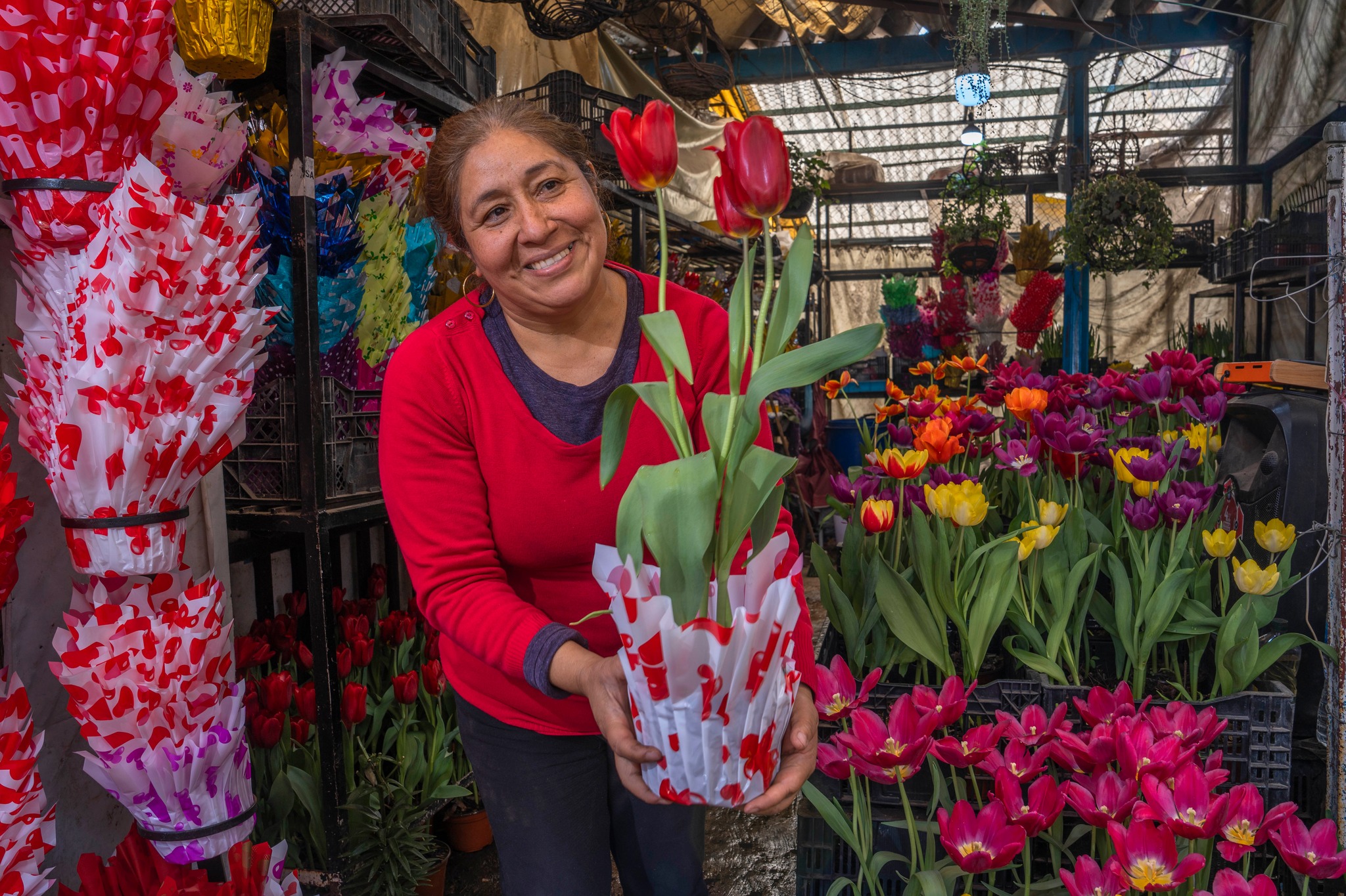 Campo mexicano, listo para la festividad del 14 de febrero