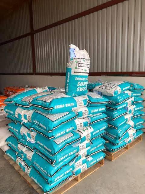 APOYARÁN CON 20 TONELADAS DE SEMILLA DE SORGO FORRAJERO AL CAMPO DE ACUÑA