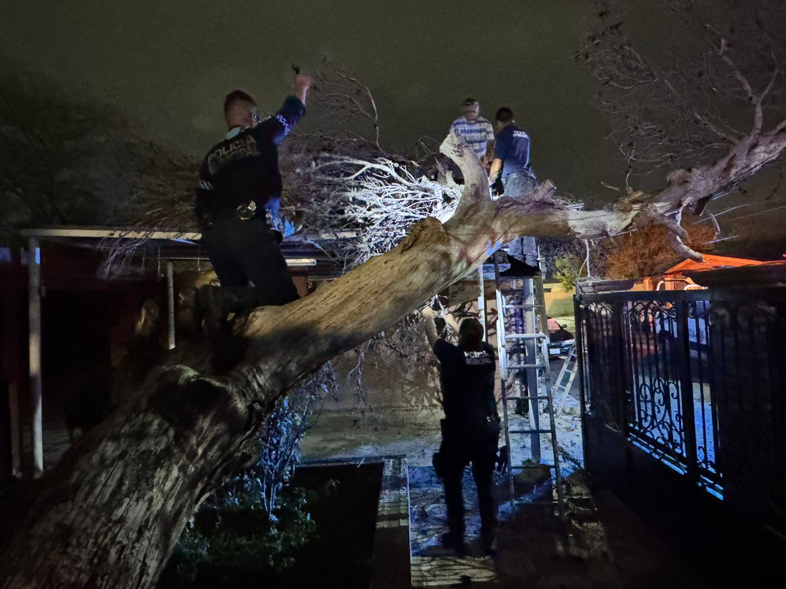 ATIENDEN AUTORIDADES DE ACUÑA AFECTACIONES POR LLUVIAS, VIENTO Y GRANIZO