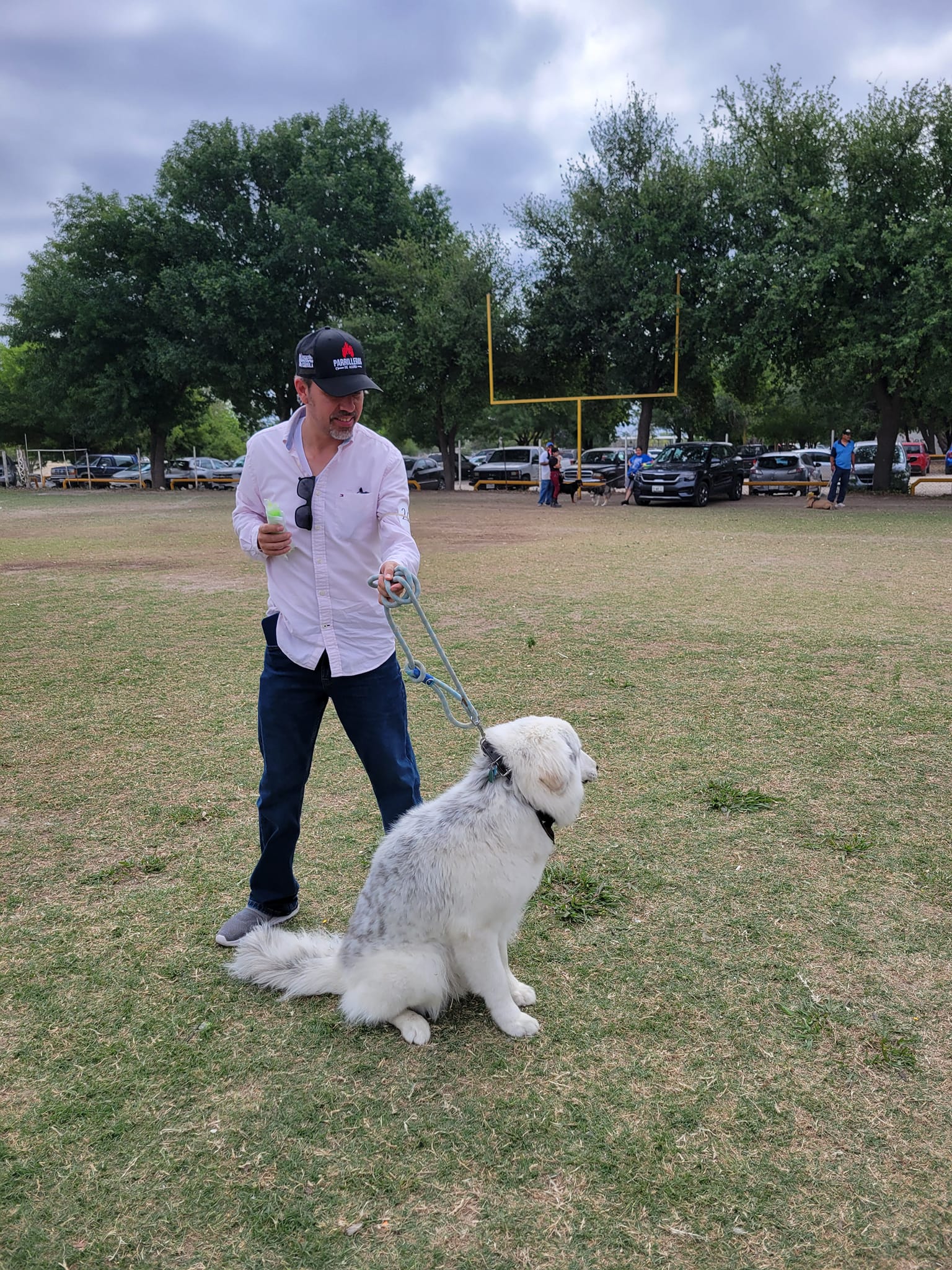 BRIGADA DE ATENCION A MASCOTAS