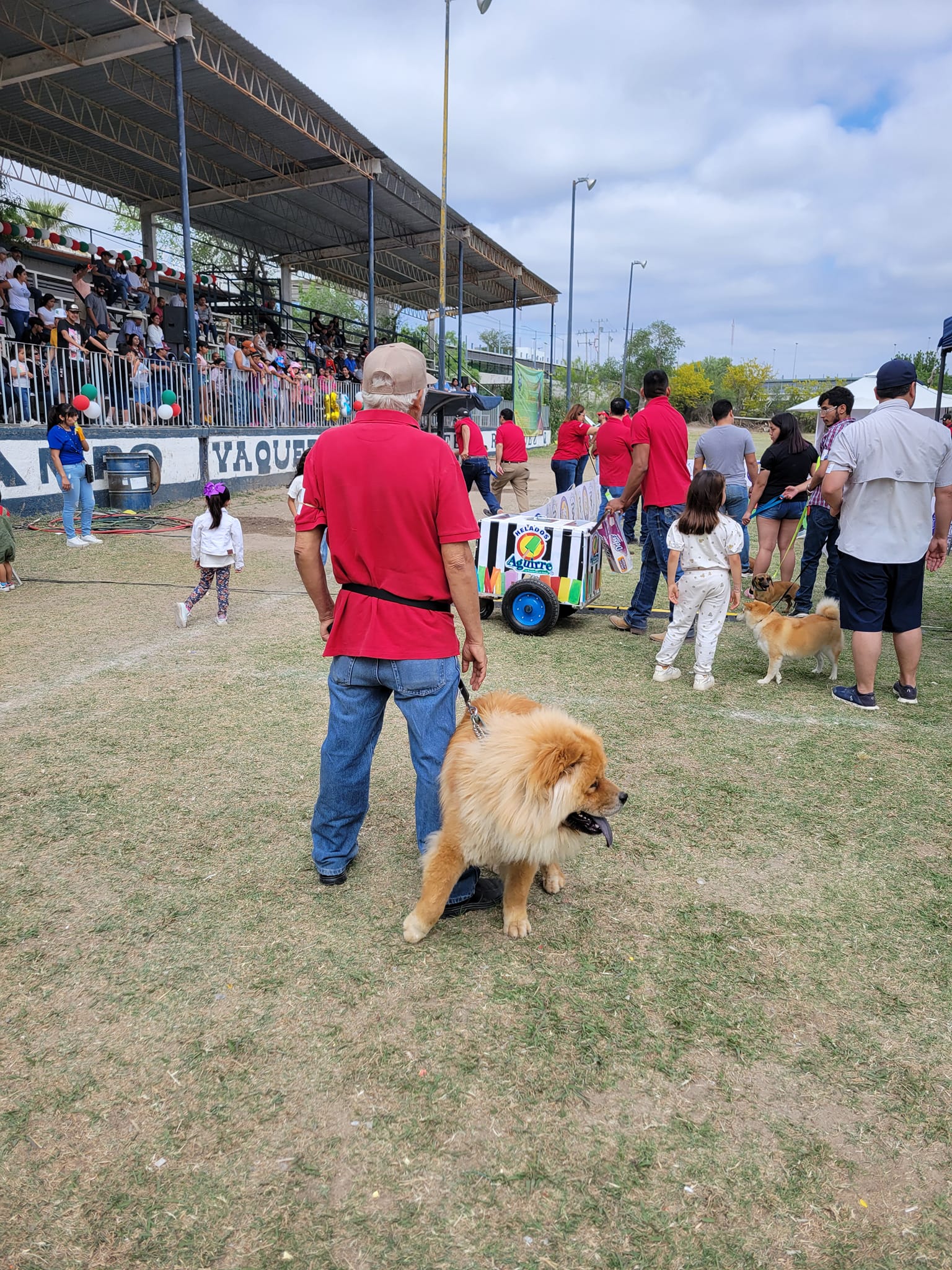 BRIGADA DE ATENCION A MASCOTAS