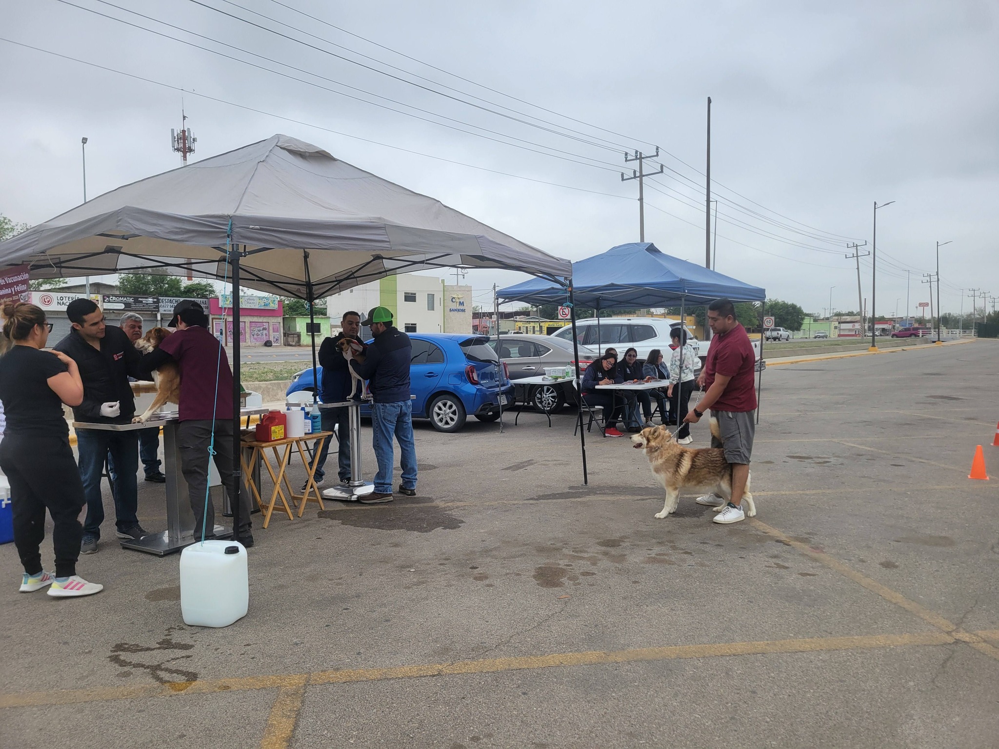Brigada de vacunación de mascotas por Clínica Veterinaria Chavarría