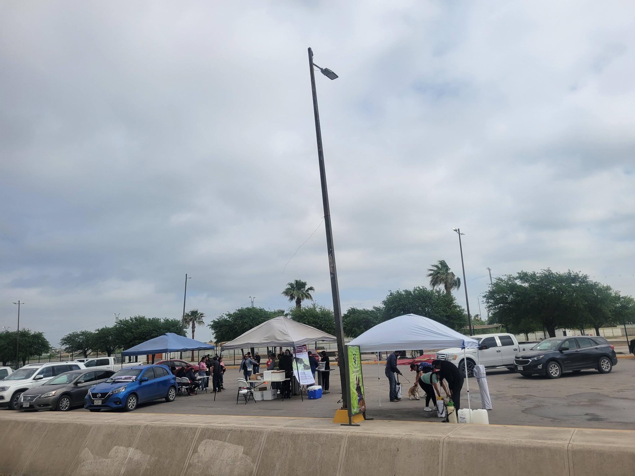 Brigada de vacunación de mascotas por Clínica Veterinaria Chavarría