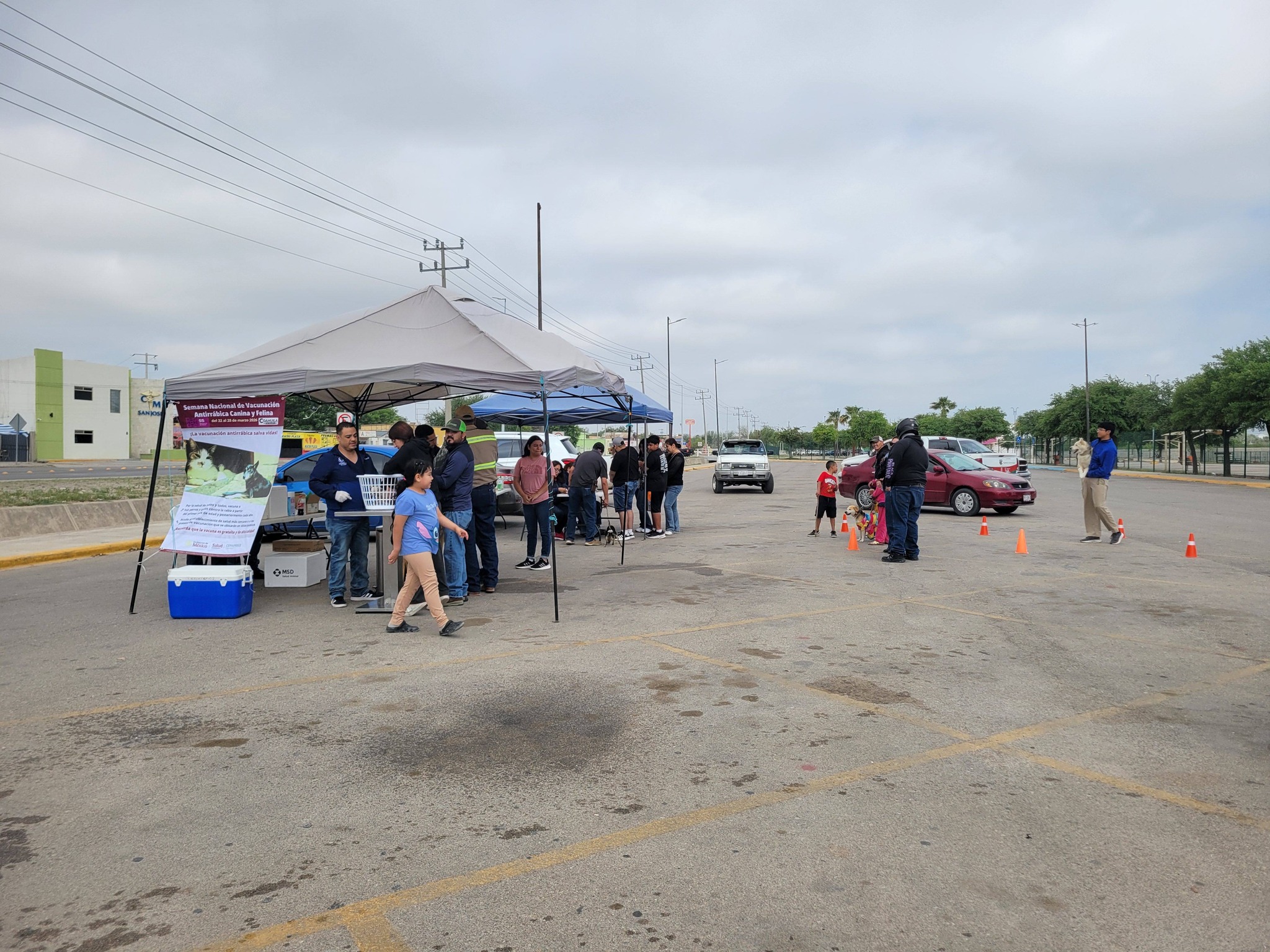 Brigada de vacunación de mascotas por Clínica Veterinaria Chavarría