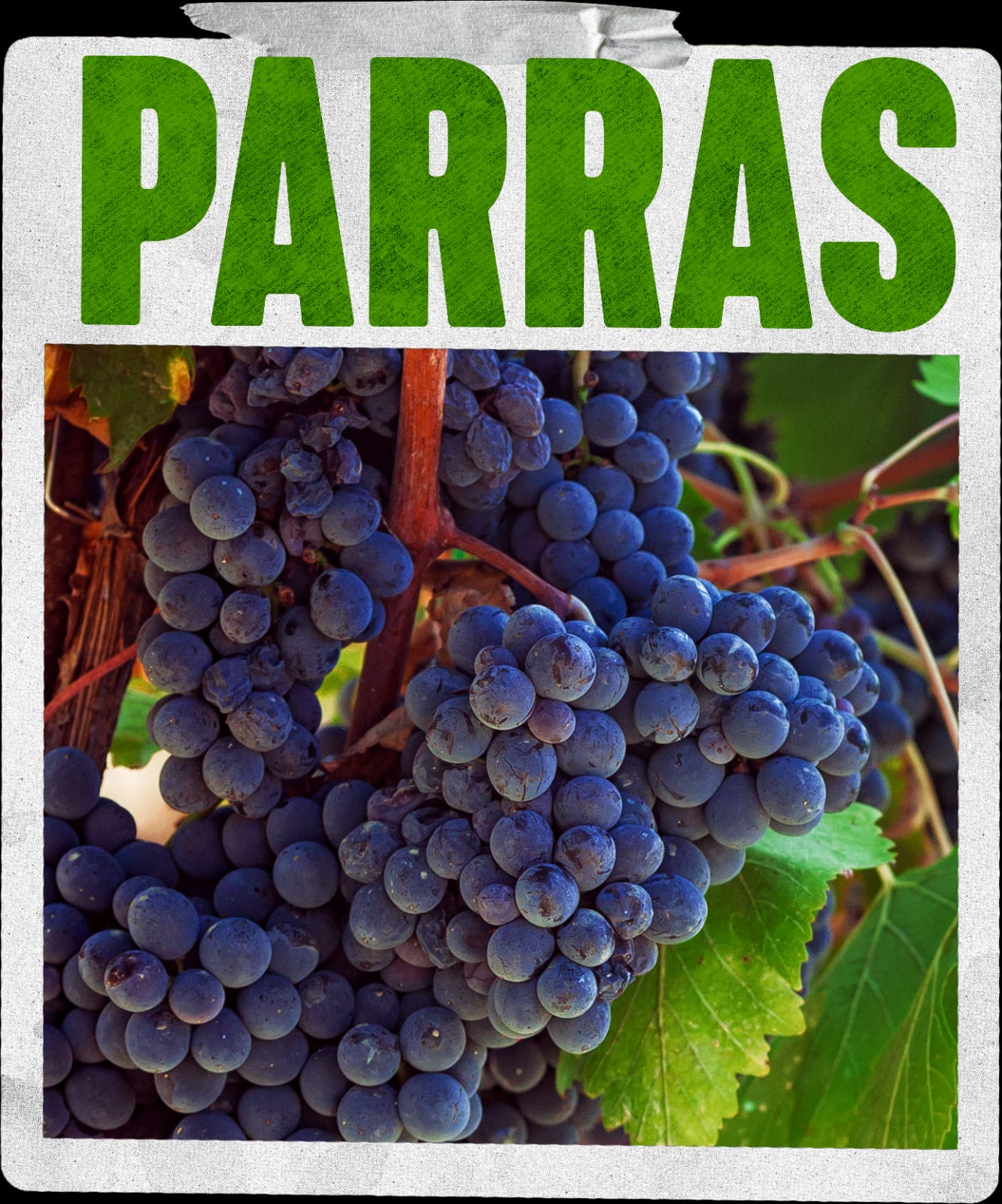 ESTÁS VACACIONES VISITA LOS PUEBLOS MÁGICOS DE COAHUILA: MANOLO