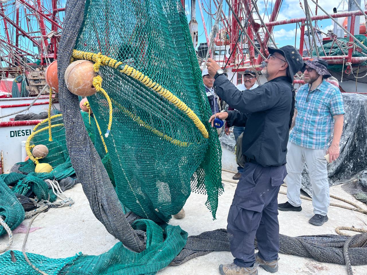 México logra calificación de 93% en comparabilidad para exportación de camarón mexicano a Estados Unidos