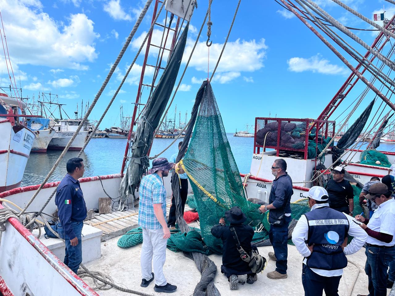 México logra calificación de 93% en comparabilidad para exportación de camarón mexicano a Estados Unidos