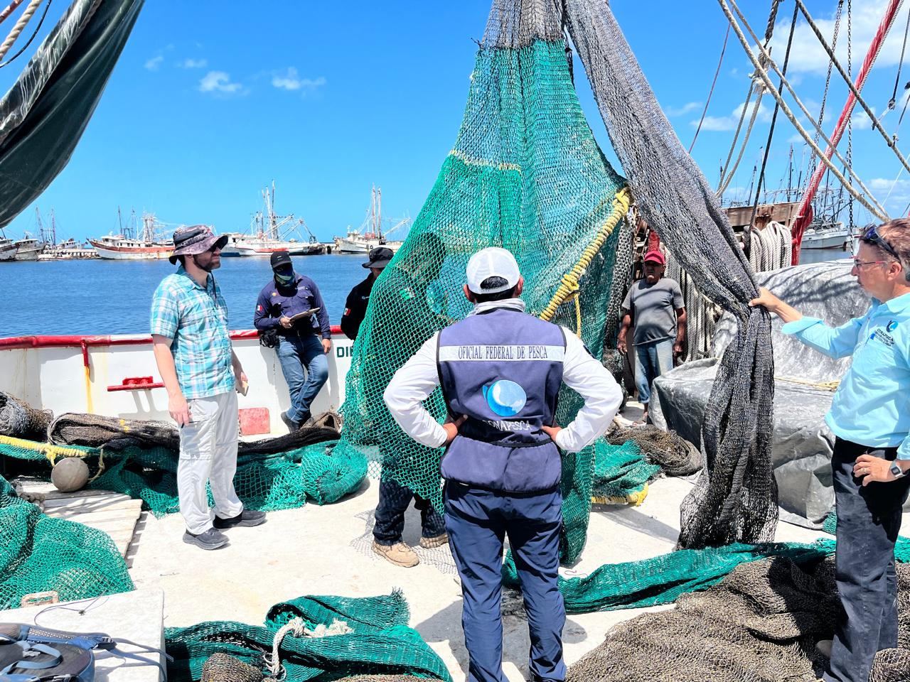 México logra calificación de 93% en comparabilidad para exportación de camarón mexicano a Estados Unidos