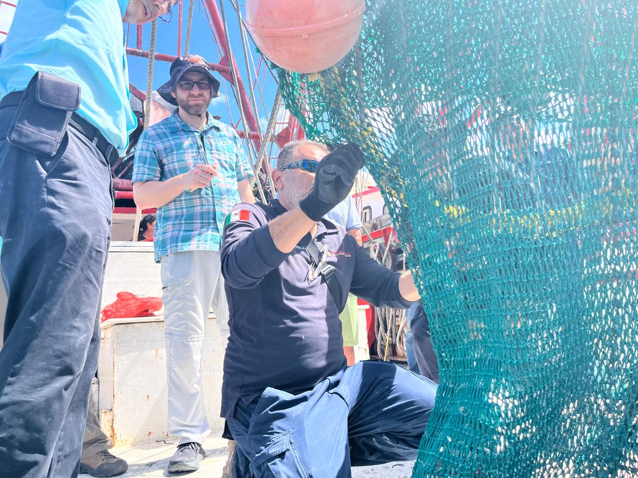 México logra calificación de 93% en comparabilidad para exportación de camarón mexicano a Estados Unidos