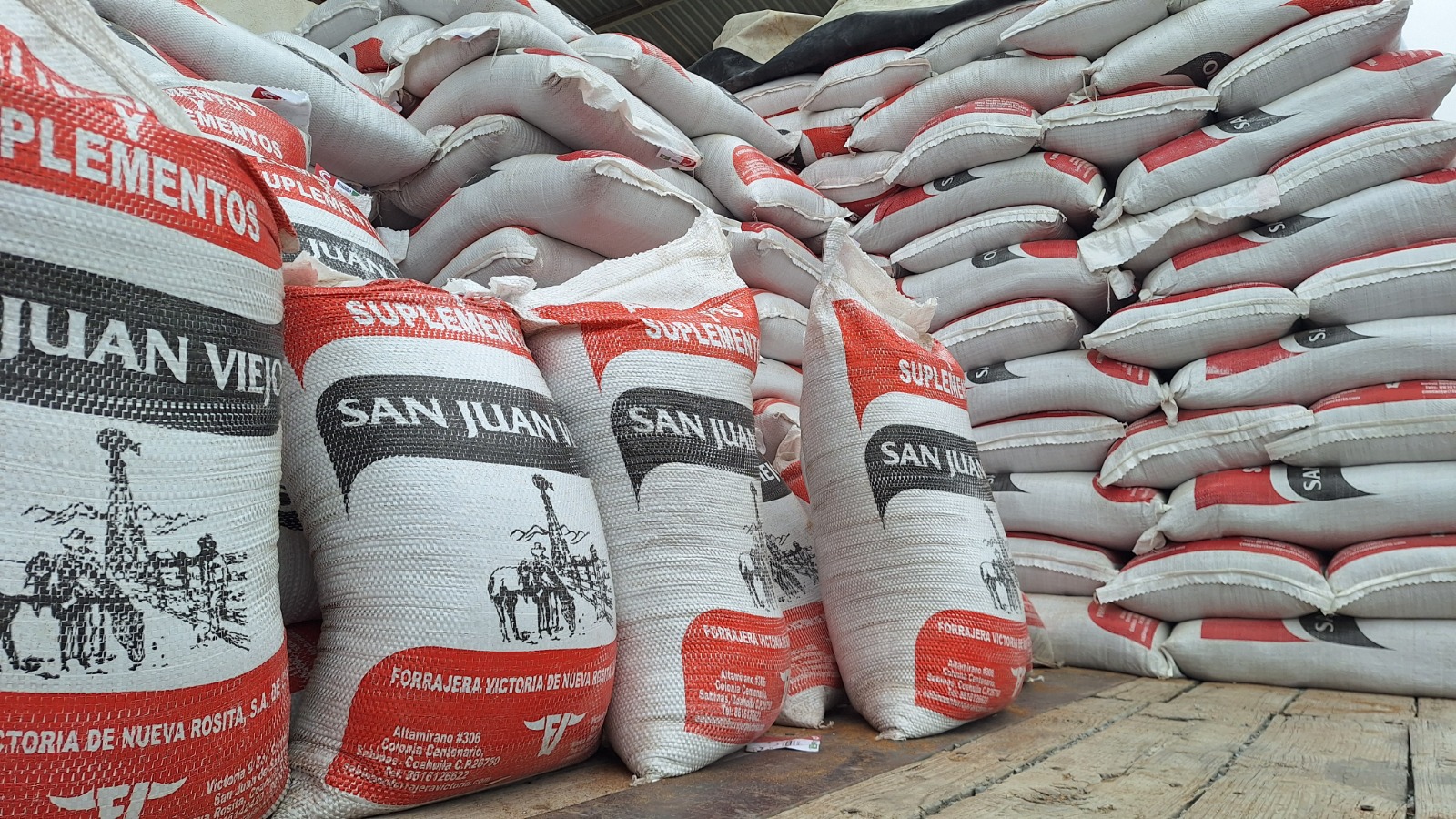 ARRANCA EN COAHUILA PROGRAMA DE SUPLEMENTO ALIMENTICIO PARA GANADO 2026