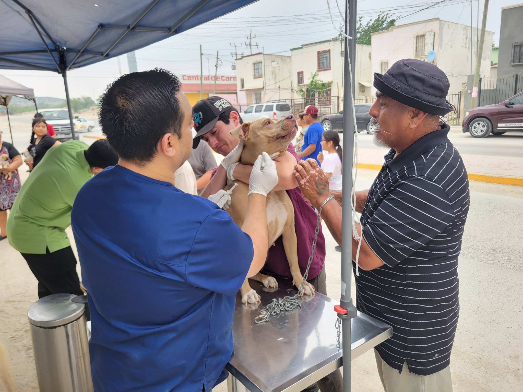 Coahuila libre de rabia canina