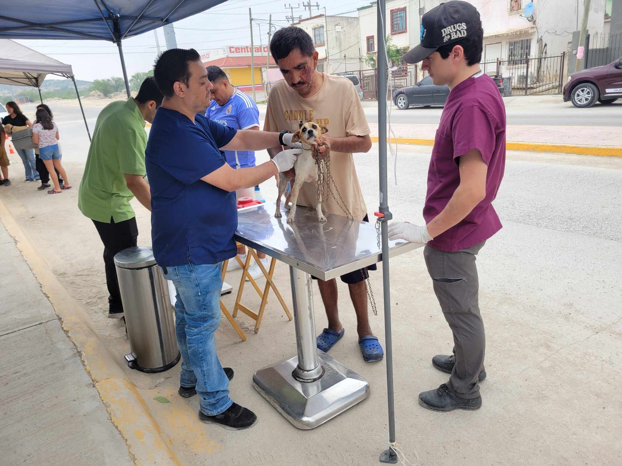 Coahuila libre de rabia canina