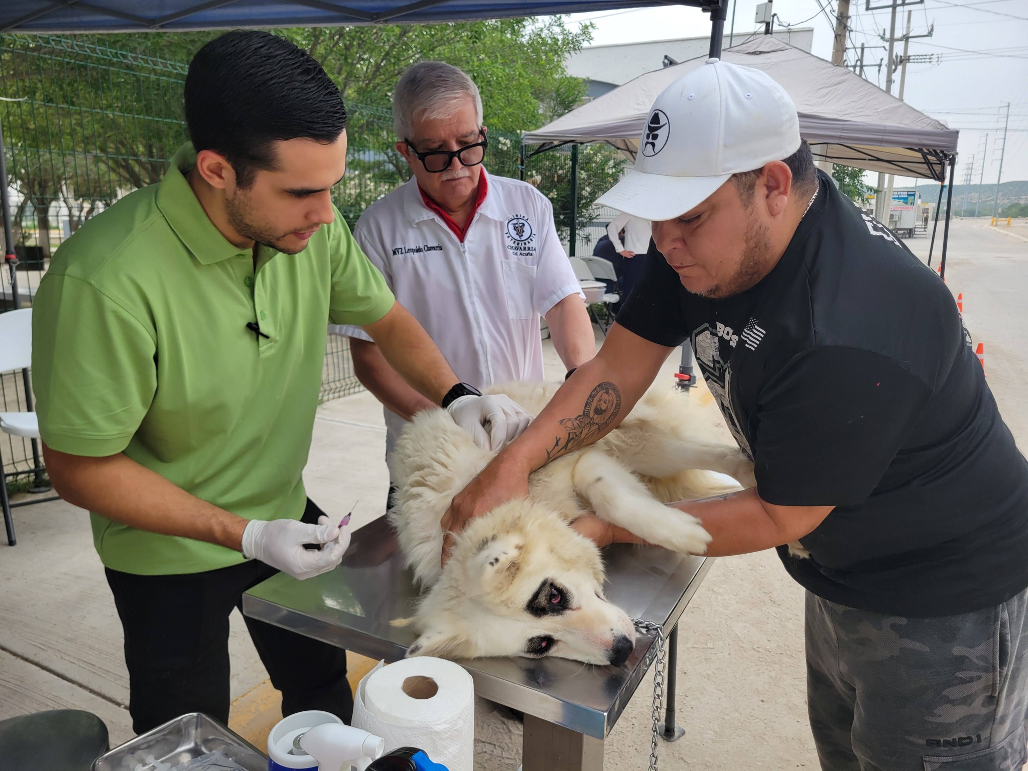 Coahuila libre de rabia canina