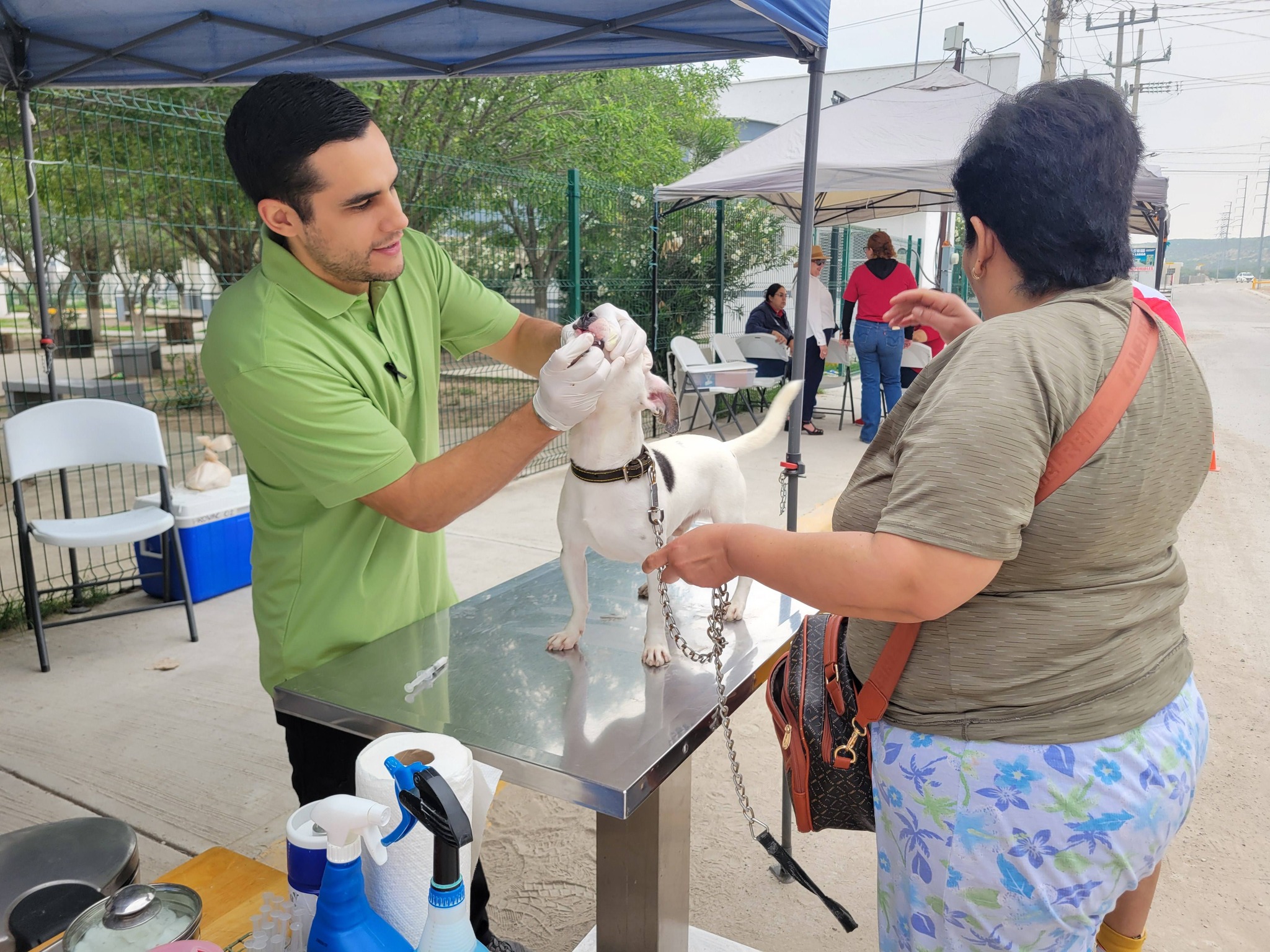 Coahuila libre de rabia canina