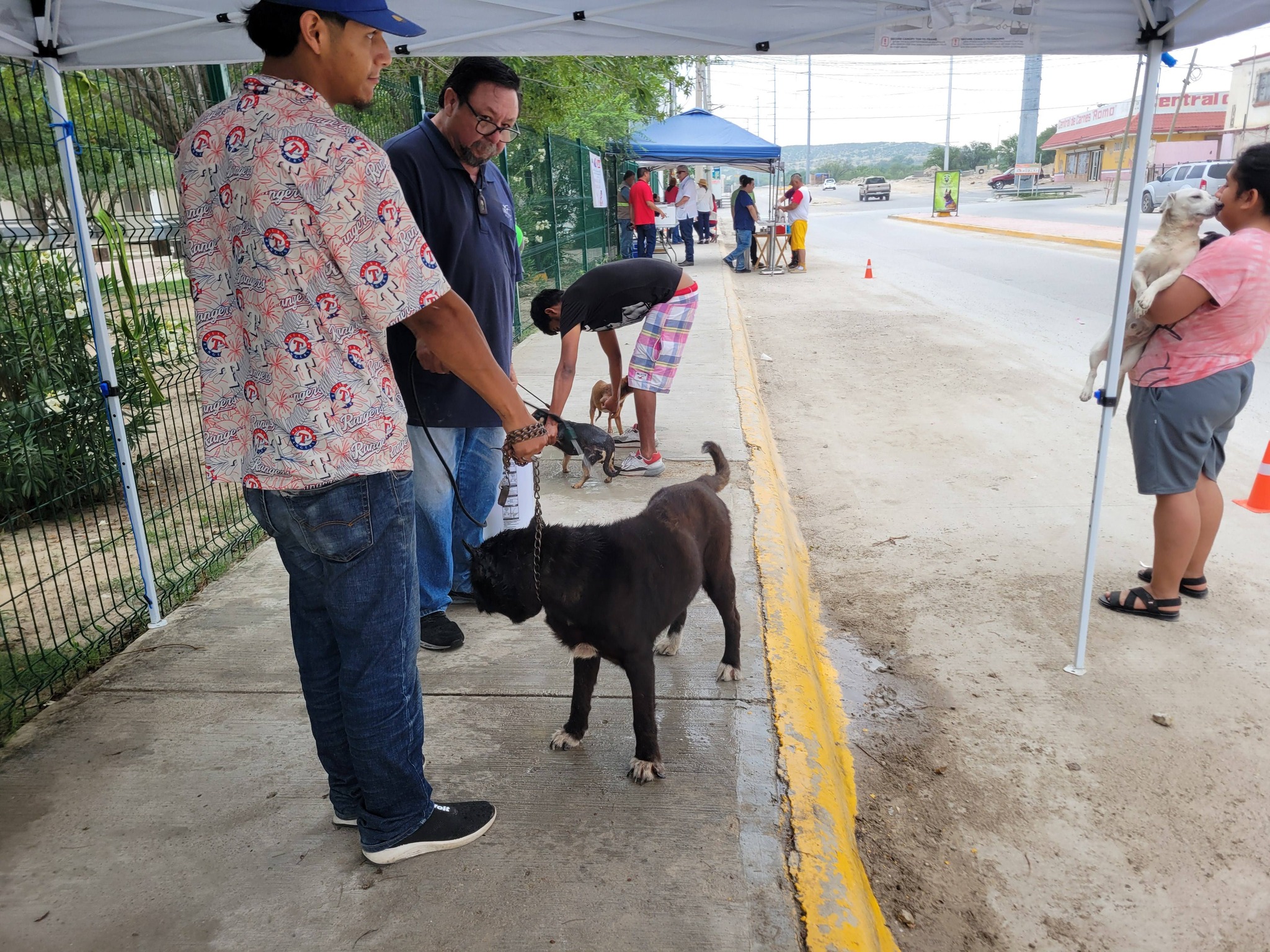 Coahuila libre de rabia canina