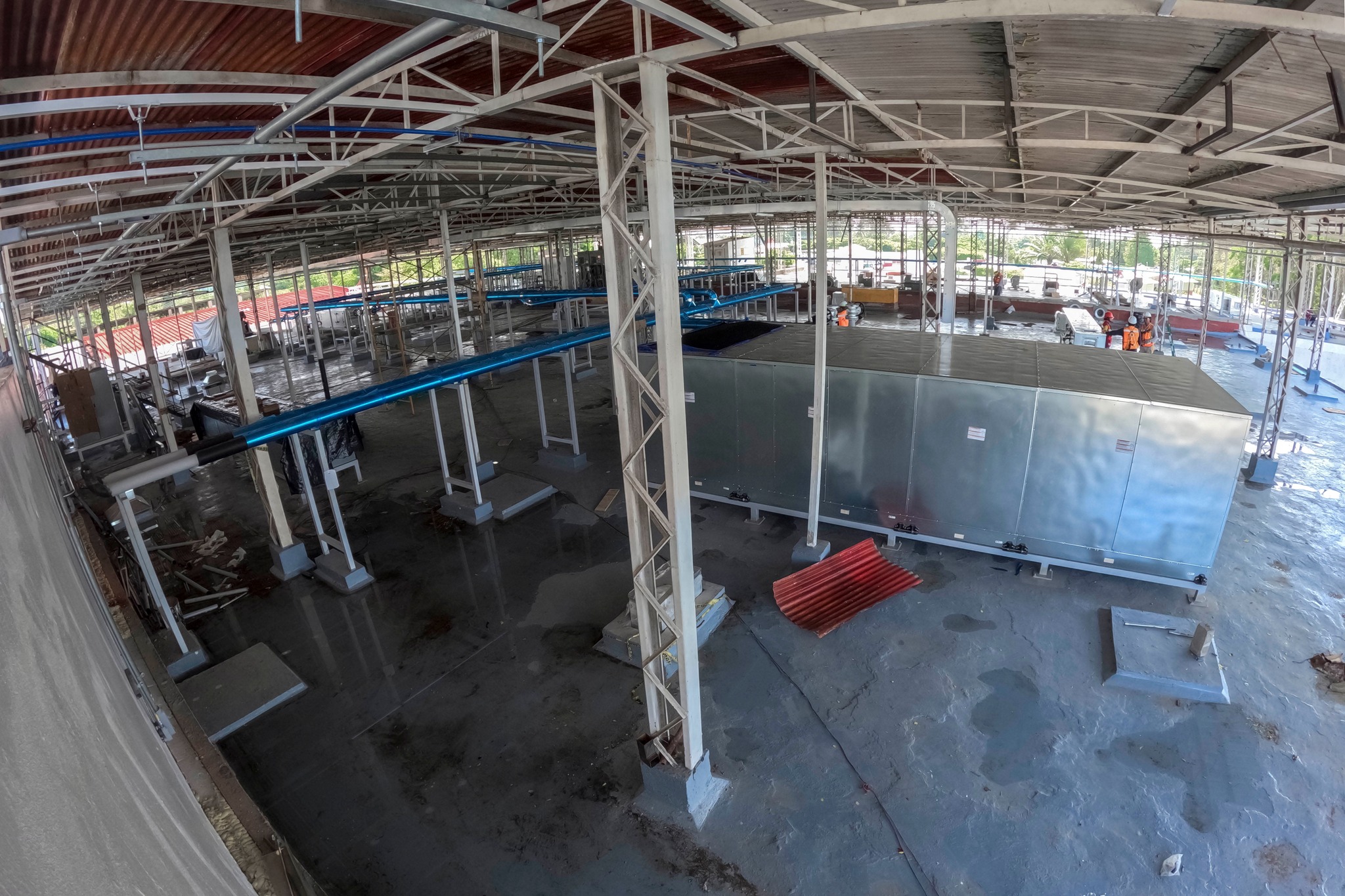 Planta que producirá moscas estériles para erradicar el gusano barrenador del ganado lleva 75% de avance