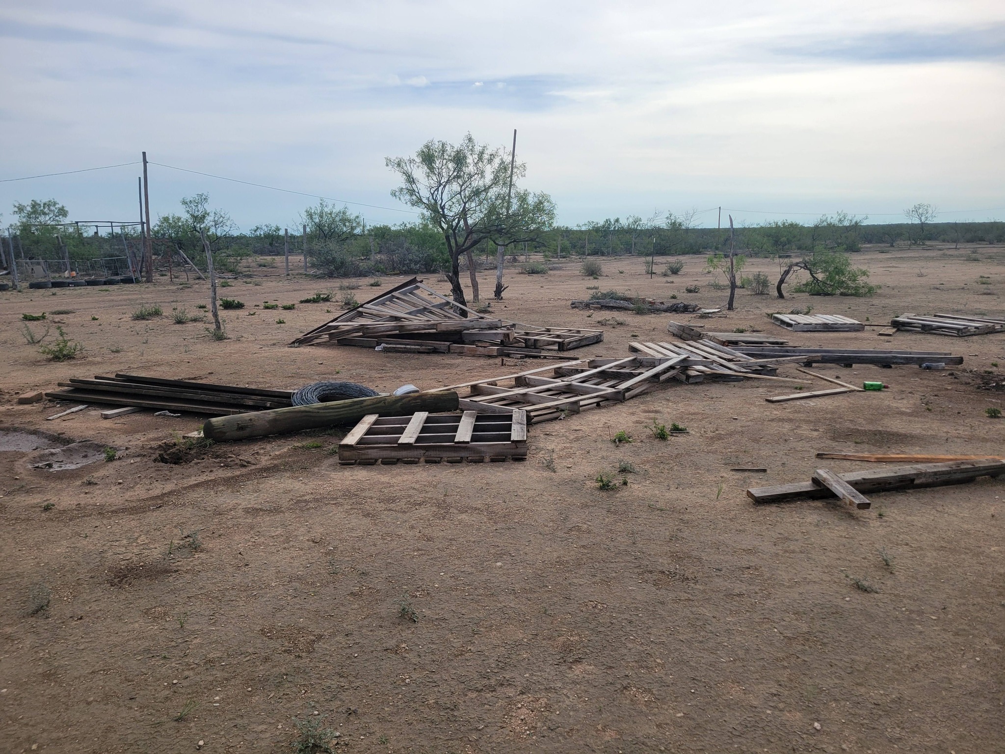 Pérdidas totales sufren familias afectadas por tornado